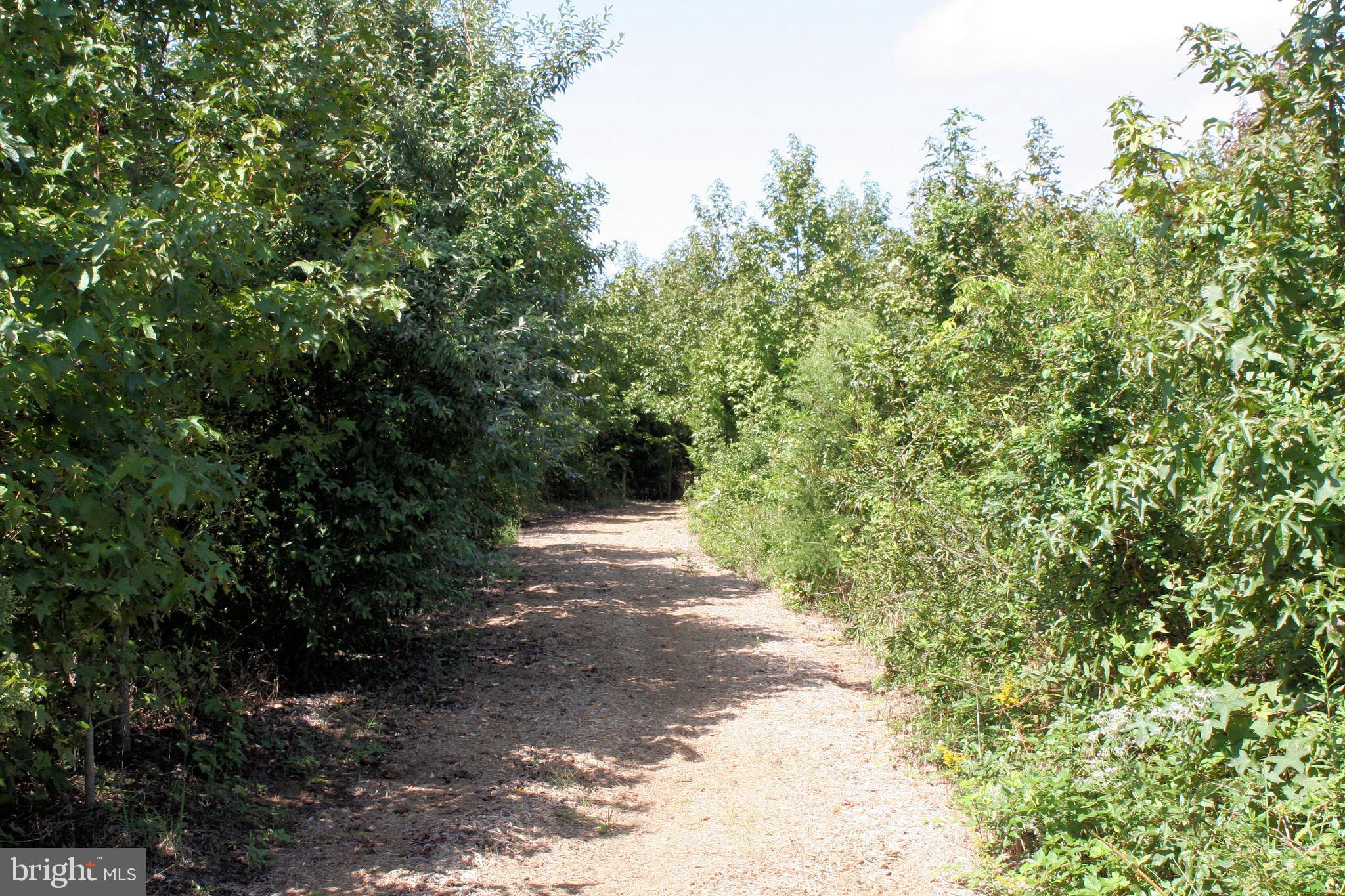 ELLENDALE - Residential