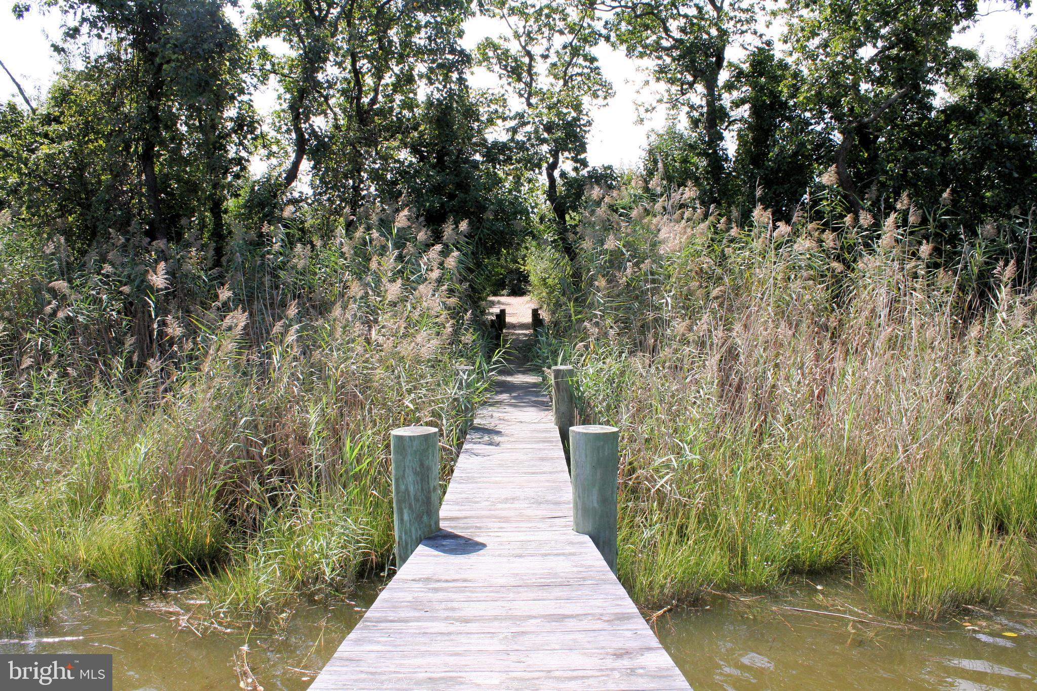 ELLENDALE - Residential