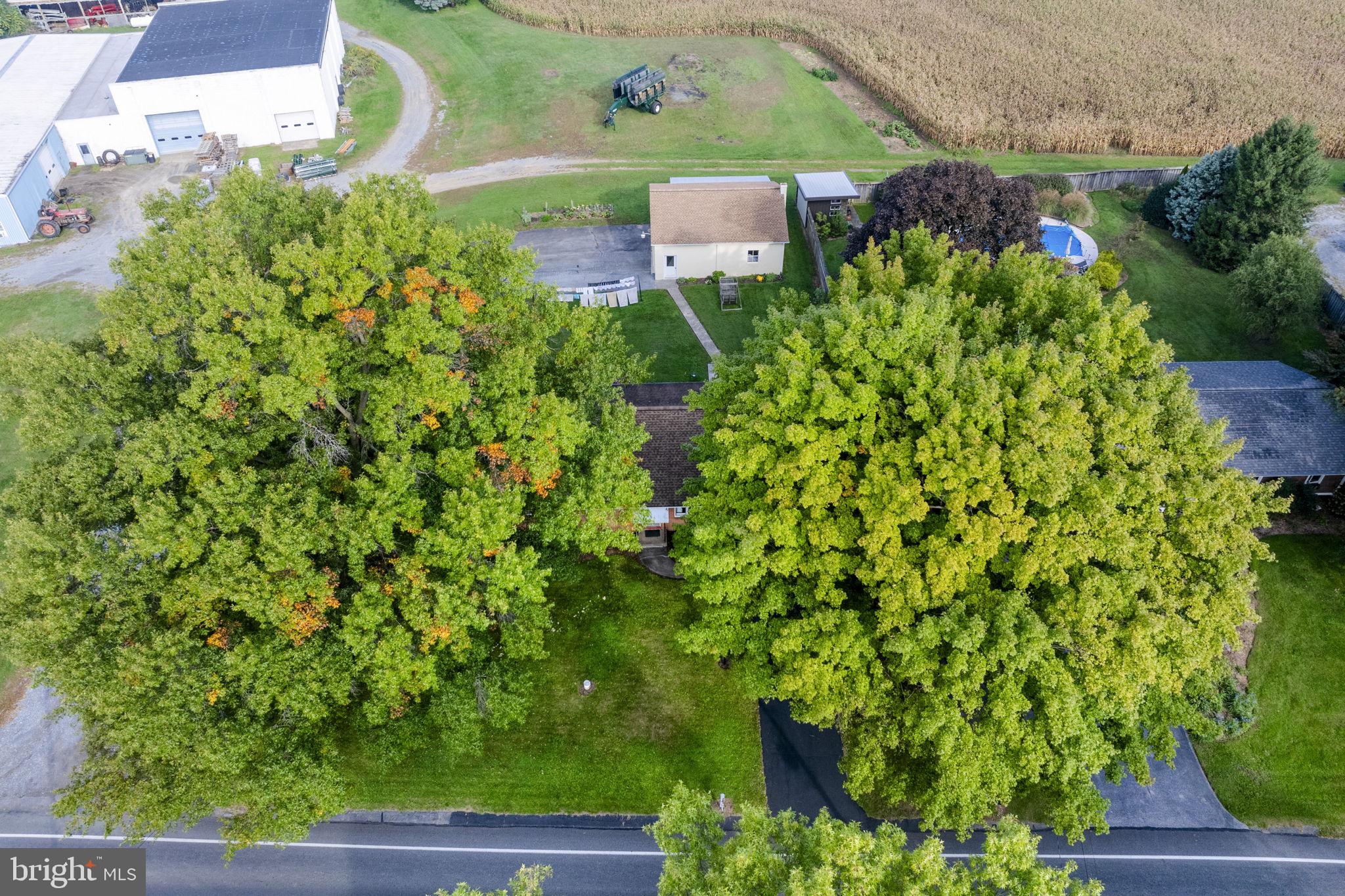 389 W LEXINGTON ROAD