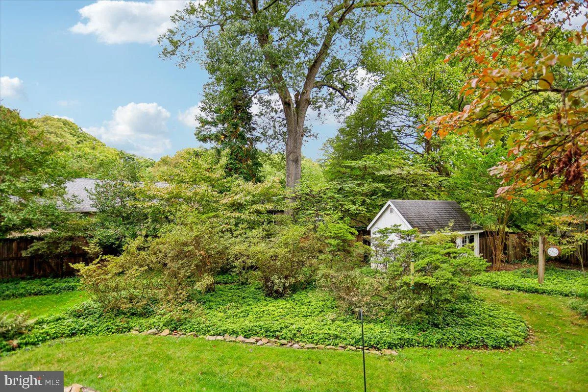 10519 Deneane Road, Silver Spring, MD 20903 photo 4