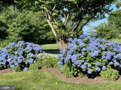 TILGHMAN ISLAND - Residential