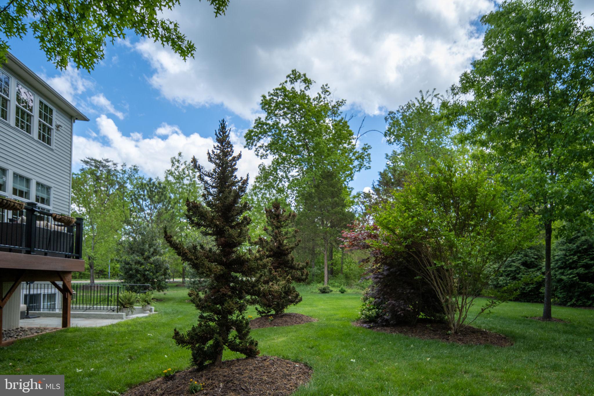 OLD MILL - Residential