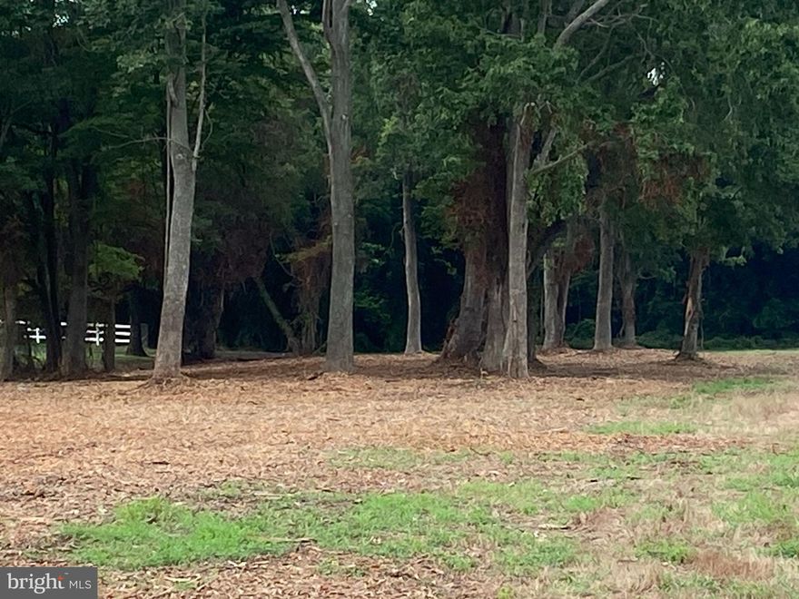 Who's ready to build their dream home on this beautiful 3 acre lot near the  Nanticoke River. This cleared   parcel has been well maintained.  Located 1/2 mile from both the Wetipquin Boat ramp and Tyaskin Wharf and less than 2 miles from the Cedar Hill Marina where you can enjoy fishing and crabbing and other water related activities in just minutes. There are several sandy beaches nearby. Come explore what makes the "Westside" so special!