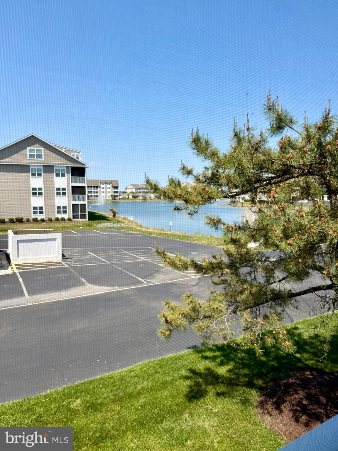 30381 CROWLEY DRIVE 303