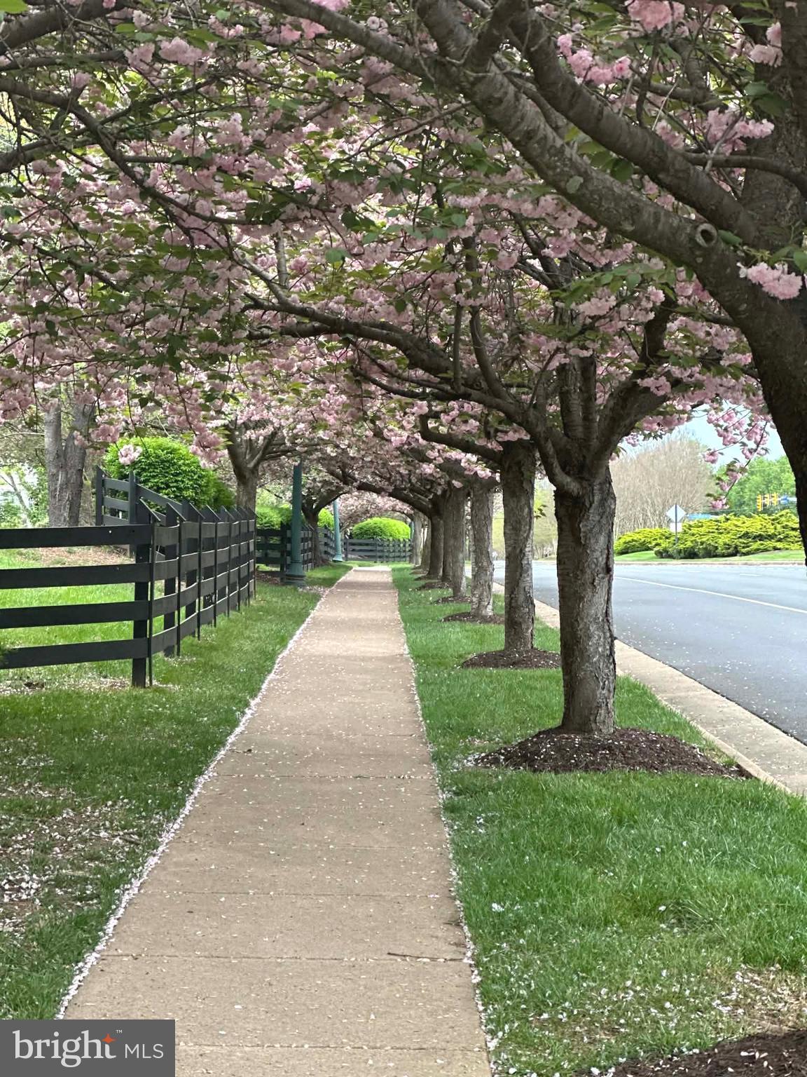 BRAEMAR             PH 2 - Residential