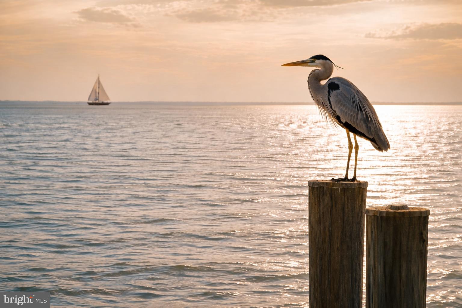 STEVENSVILLE - Residential