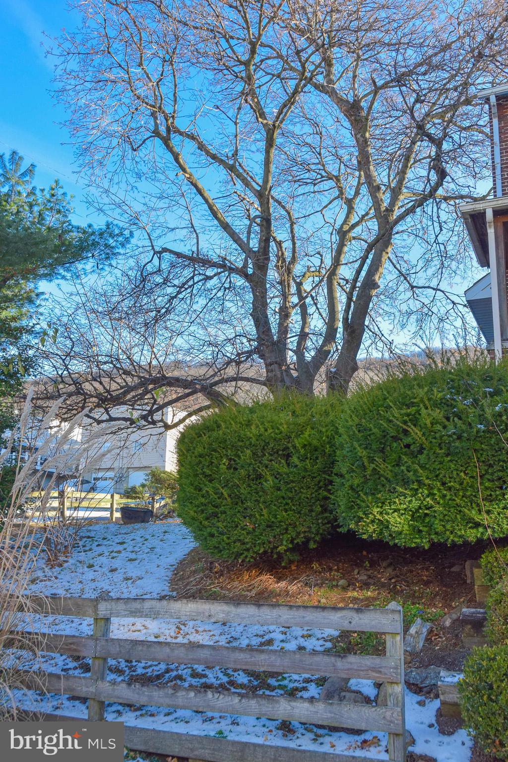 269 & 271 LINDEN STREET