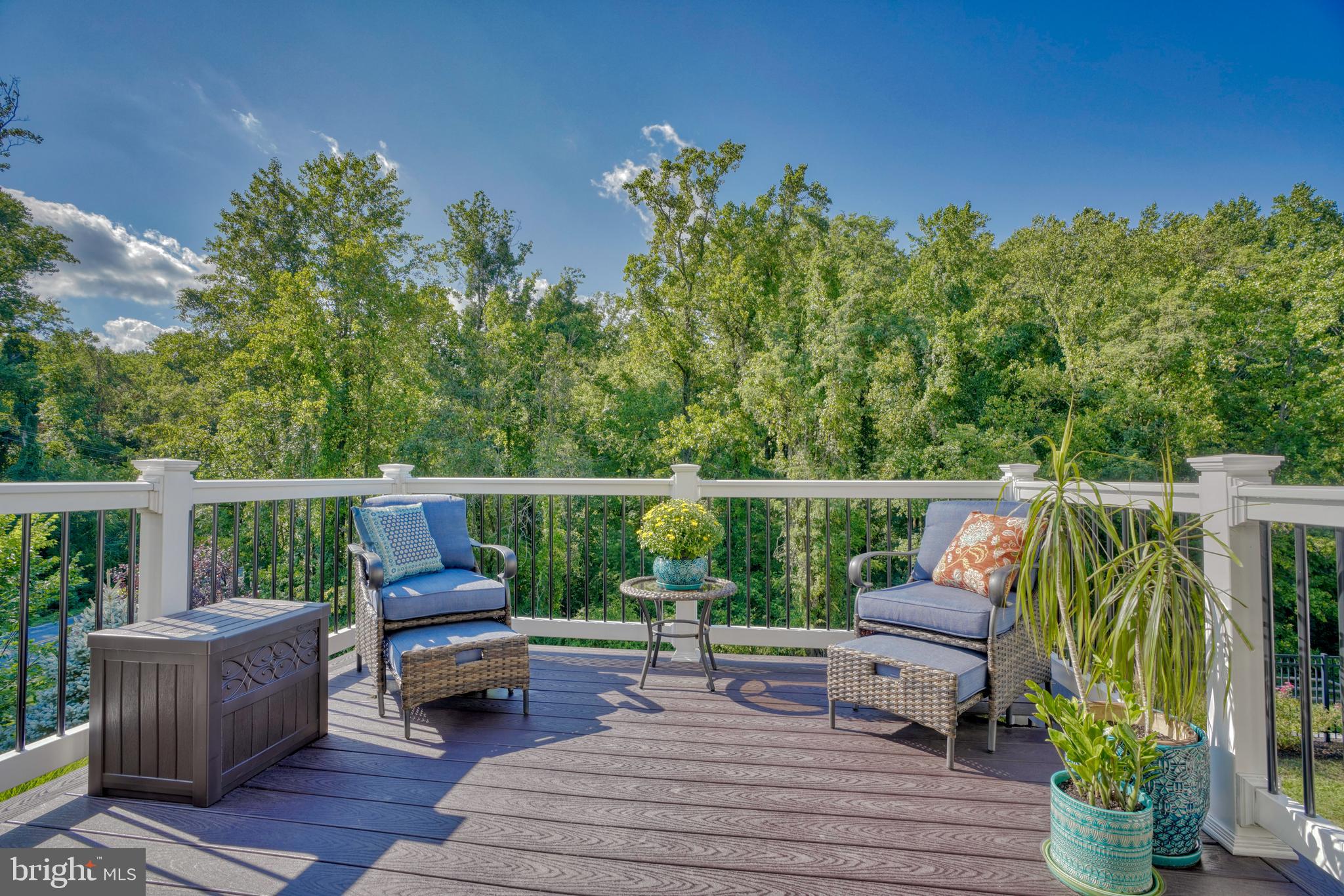 LAUREL RIDGE - THE MEADOWS - Residential