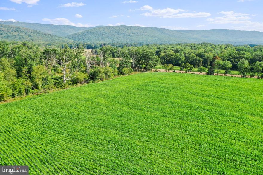 Absolutely breathtaking 34.12-acre property with stunning mountain views that will leave you in awe. This picturesque land boasts a perfect balance between pastoral and wooded areas offering endless possibilities for outdoor activities and exploration.

The open pasture is an ideal canvas for your dream home, offering the opportunity to create a private oasis that perfectly complements the surrounding natural beauty.  Imagine waking up to the glorious sunrise over the mountains, a sight that will truly invigorate your senses.

Complete with a hay barn, a barn/stable, and a pond, you have all the facilities you need to house and care for your livestock. 

Convenience is a definite highlight of this property, as it's only minutes away from the charming town of Woodstock, VA. With its local shops, restaurants, and cultural attractions, you'll have the best of both worlds: a secluded retreat in nature and easy access to modern amenities.

For those who require easy connectivity, the proximity to I-81 ensures swift travel to nearby cities and destinations, making commuting or embarking on adventures a breeze. 

In summary, this property is a masterpiece waiting for your personal touch. Whether you're envisioning a majestic mountain-view home, seeking farming opportunities, or simply desiring a slice of serene paradise, this property delivers it all. Seize the chance to turn your aspirations into reality and make this captivating piece of land your own.