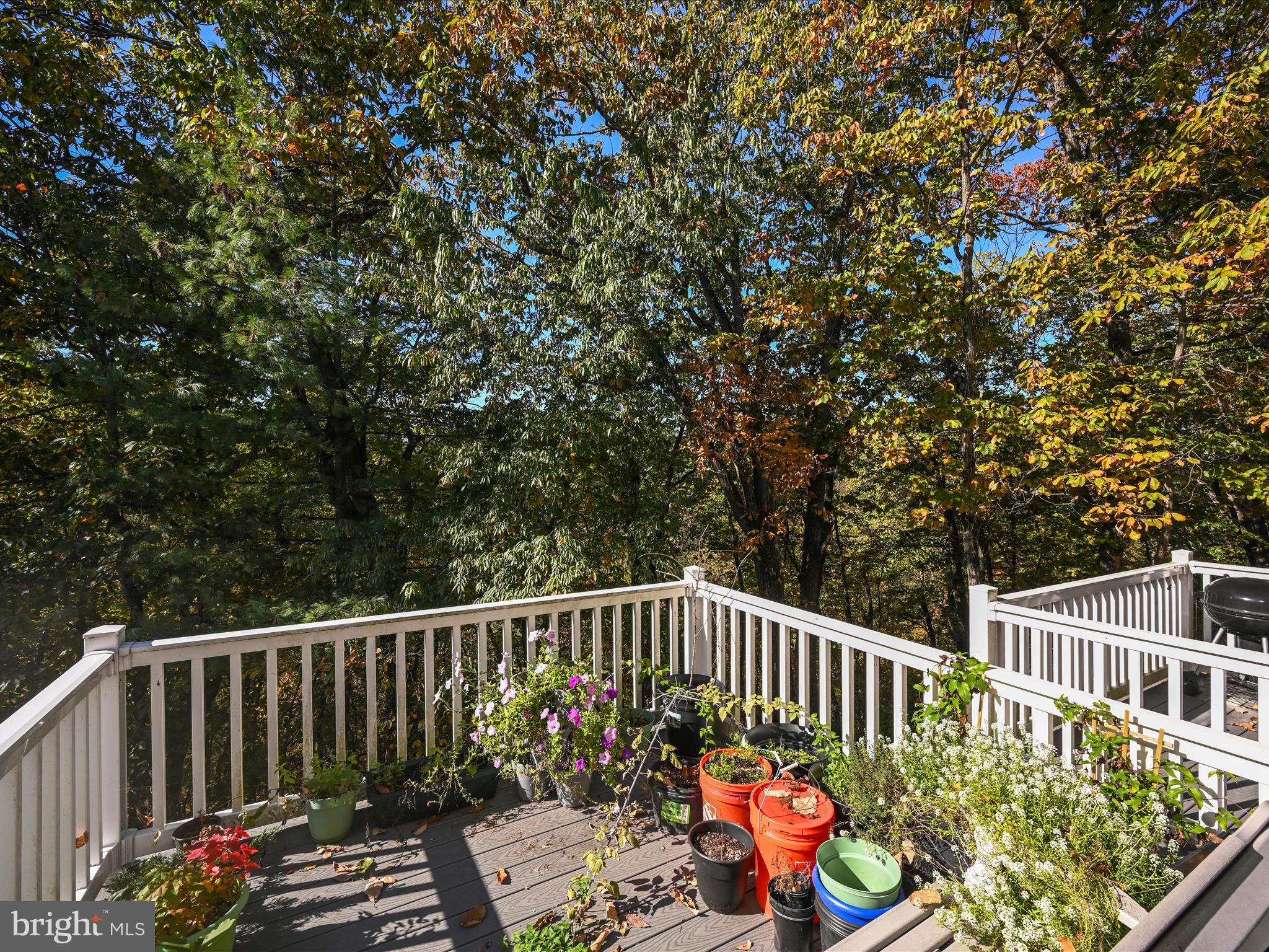 LOCUST RIDGE - Residential