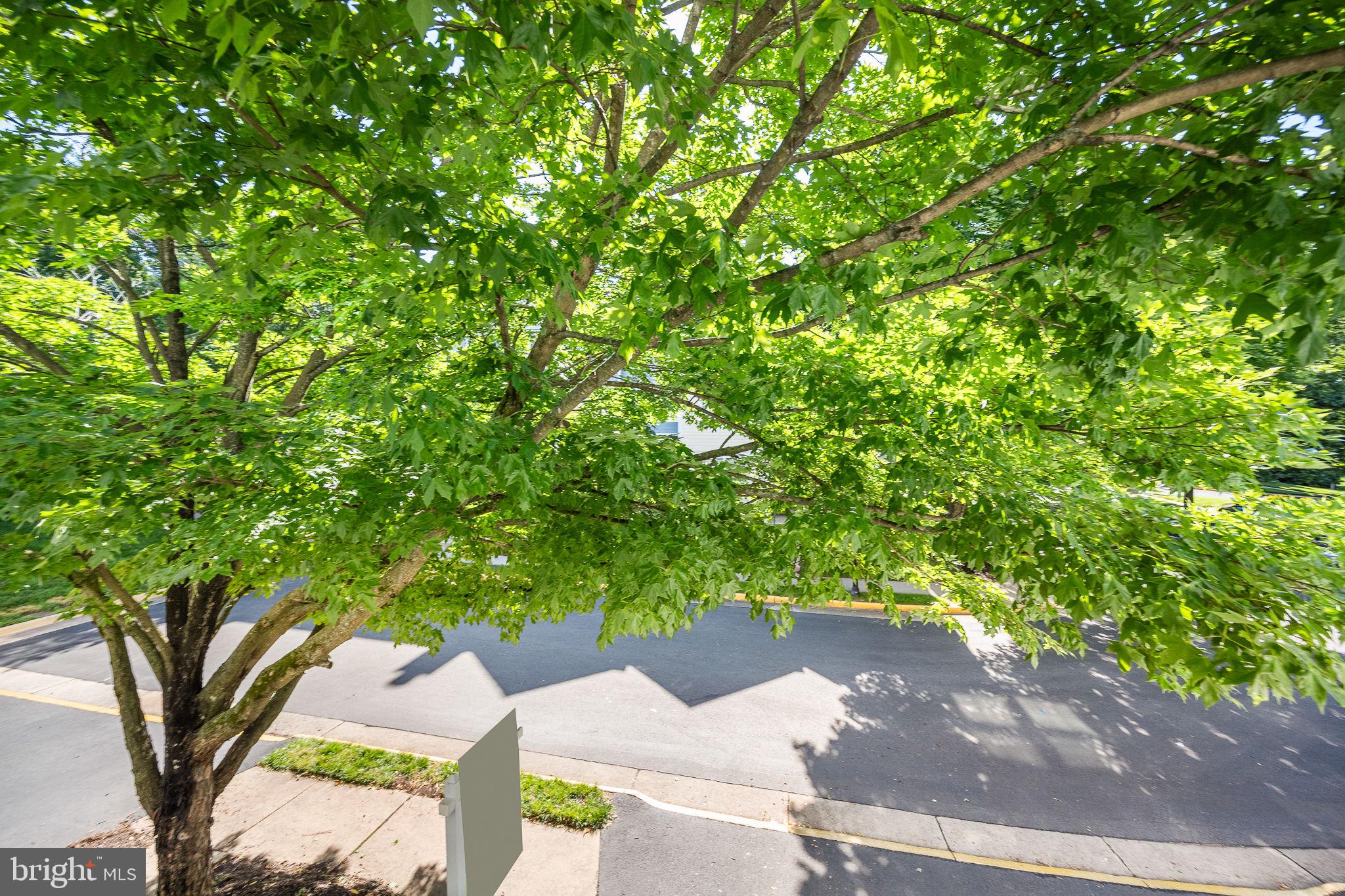 LIFESTYLE AT SULLY STATION - Residential