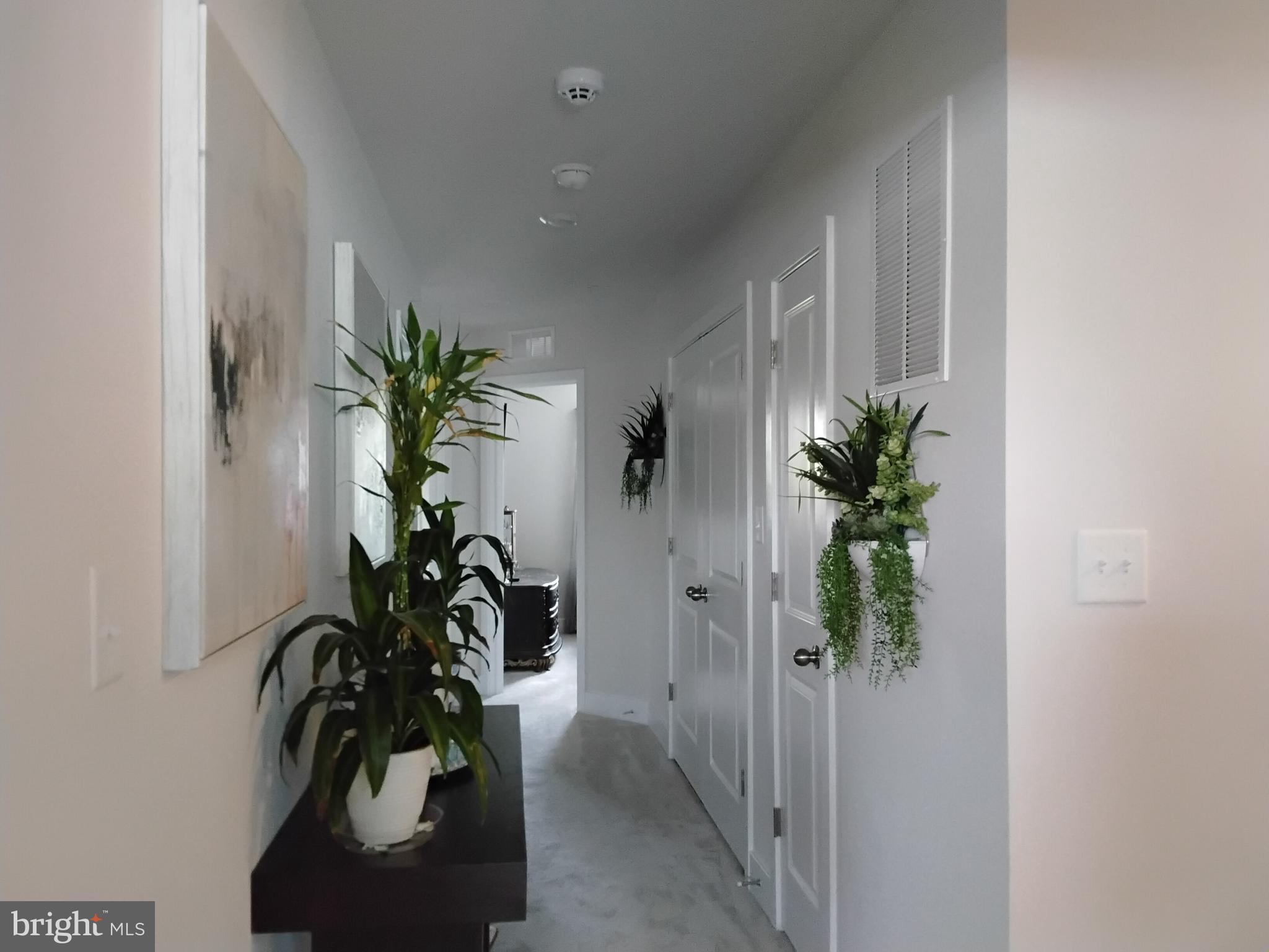 MYRTLE POINT - Residential