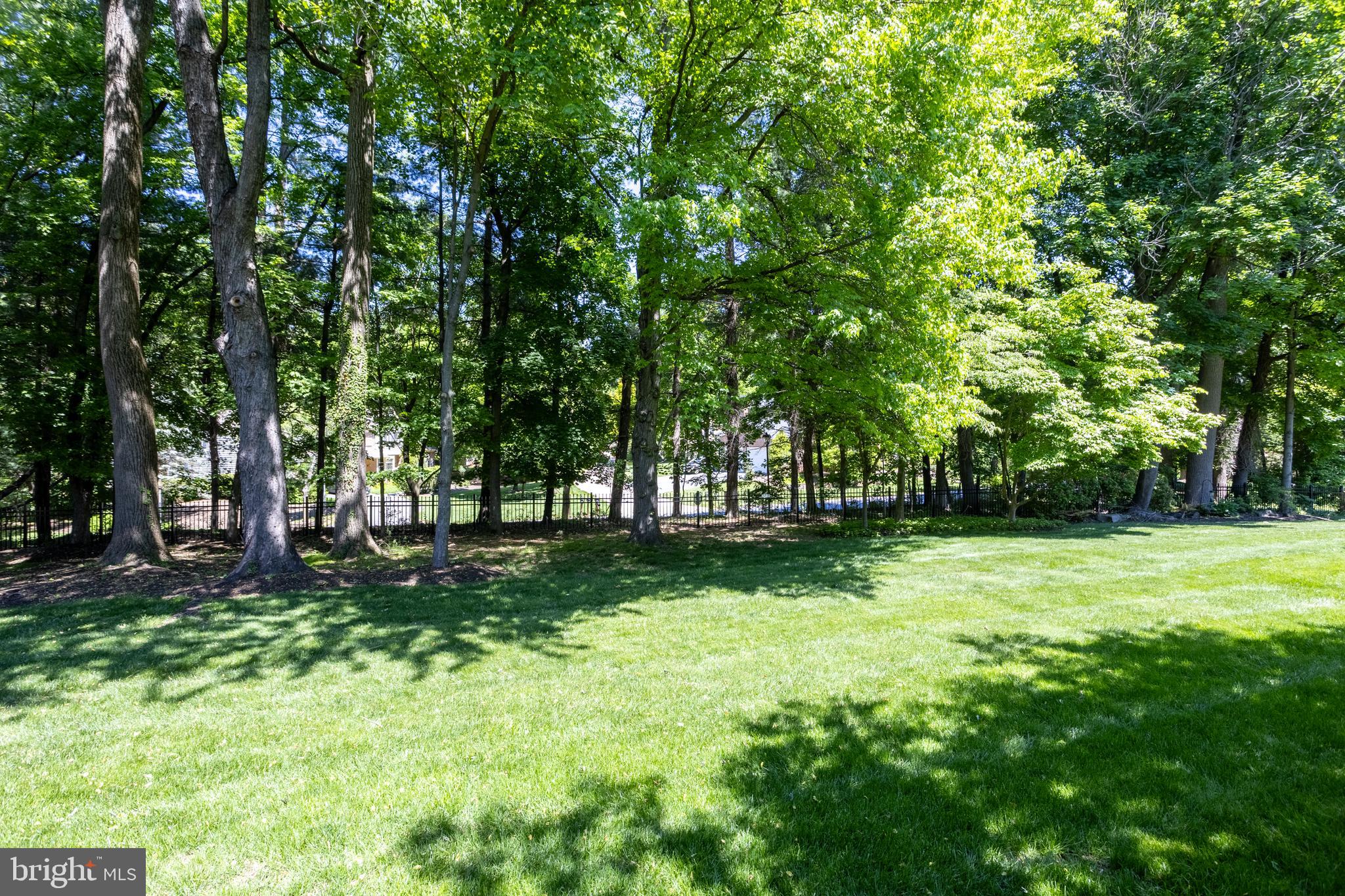 GREENE TREE - Residential