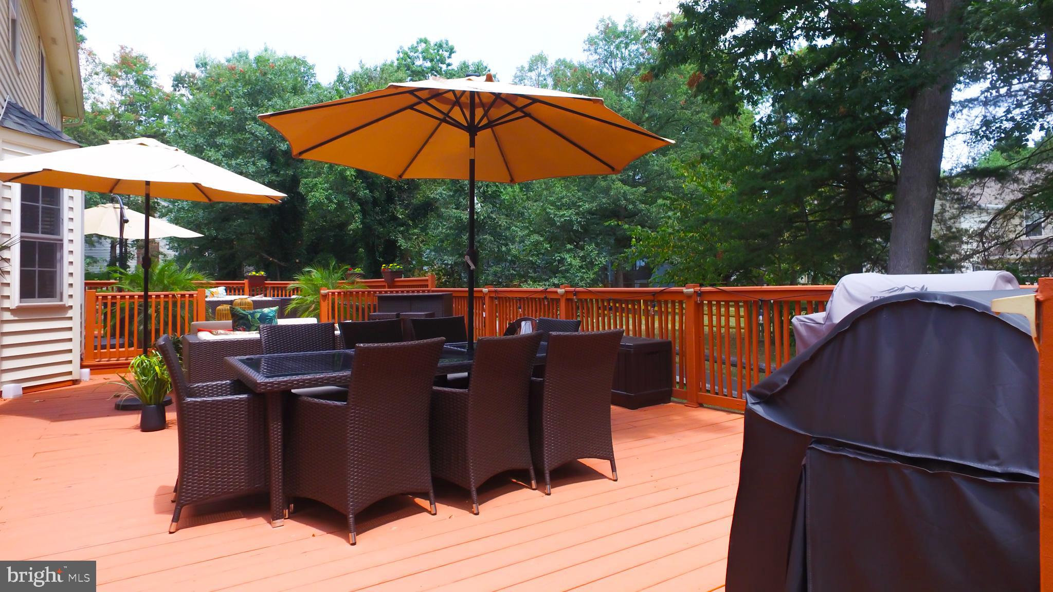 DORCHESTER NEIGHBORHOOD - Residential