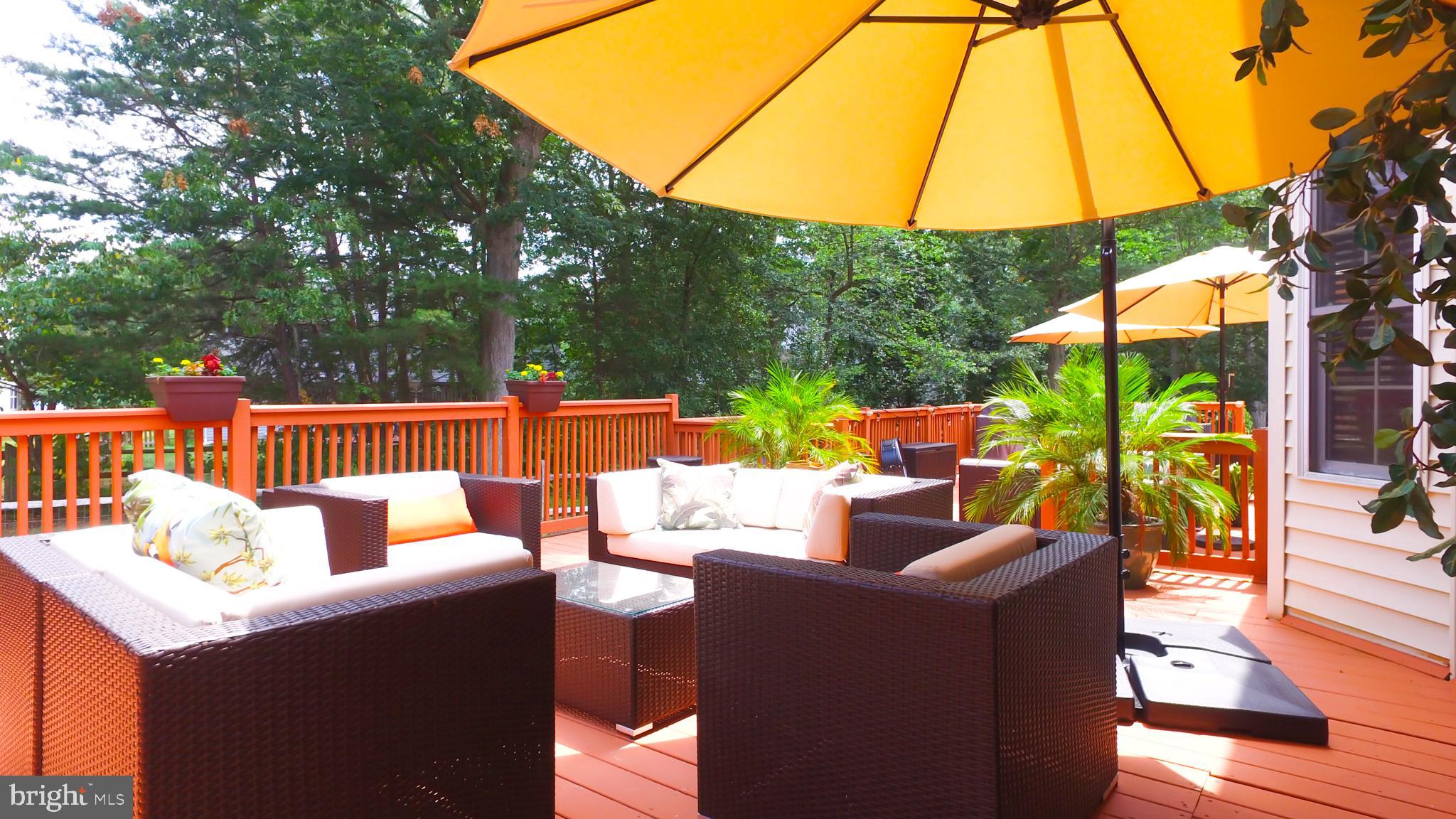 DORCHESTER NEIGHBORHOOD - Residential