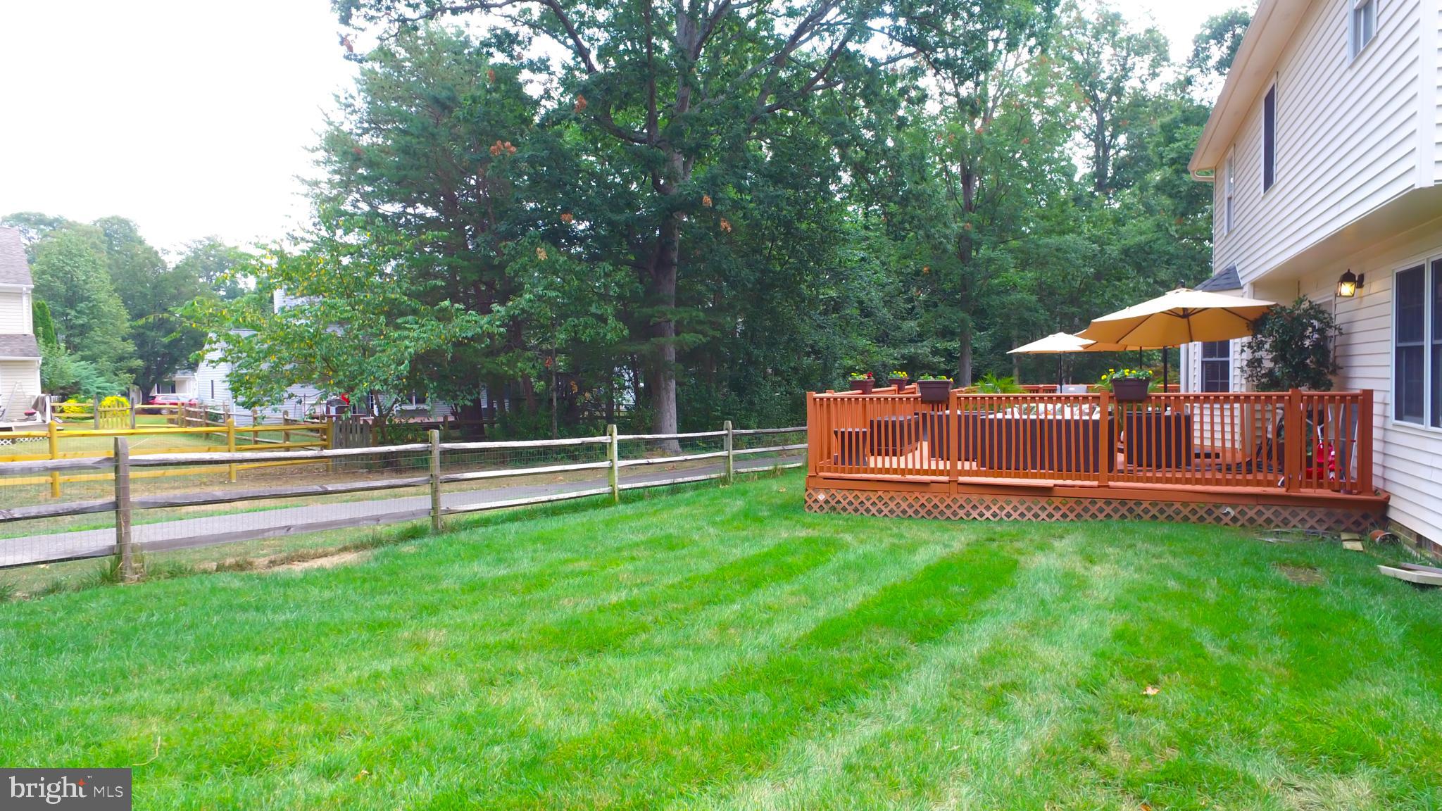 DORCHESTER NEIGHBORHOOD - Residential