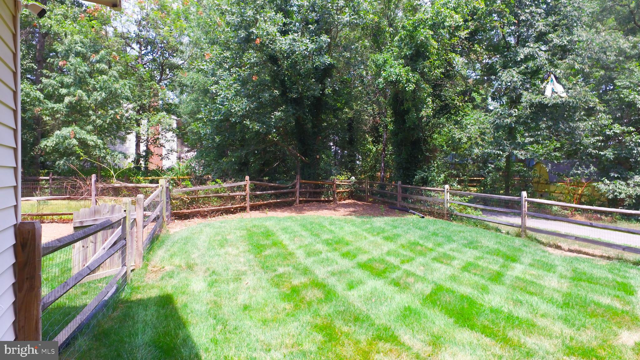 DORCHESTER NEIGHBORHOOD - Residential