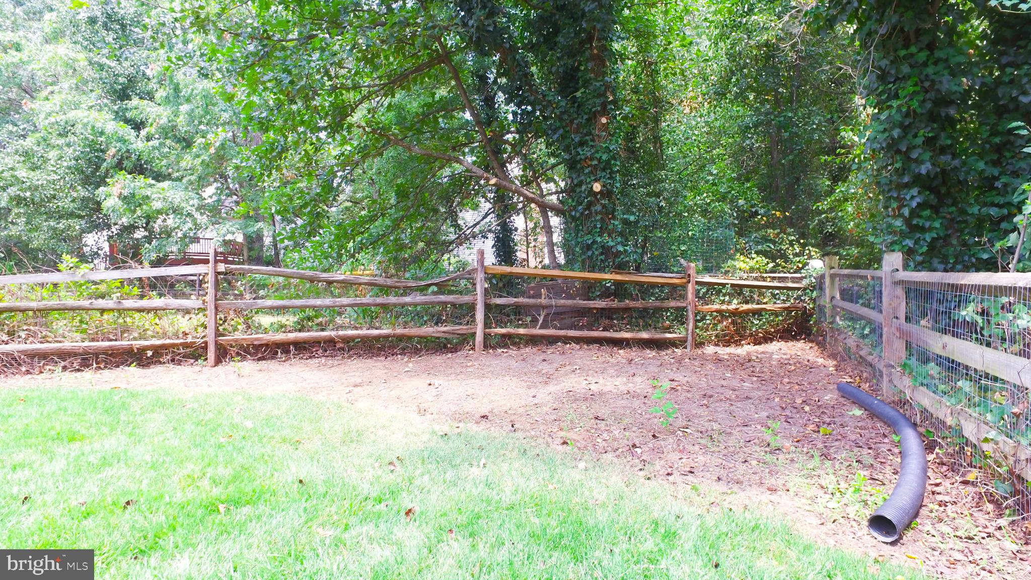 DORCHESTER NEIGHBORHOOD - Residential