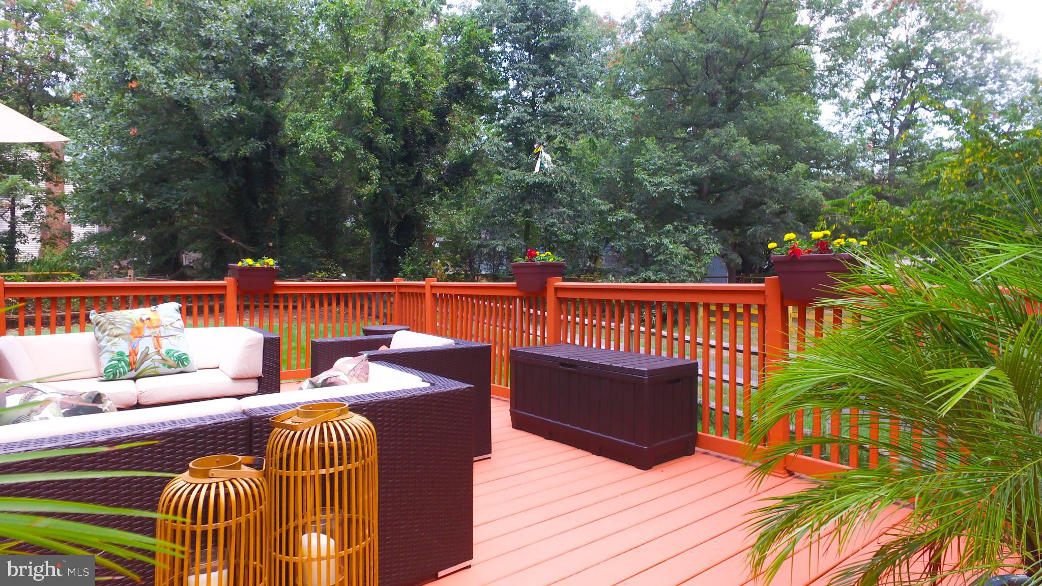 DORCHESTER NEIGHBORHOOD - Residential