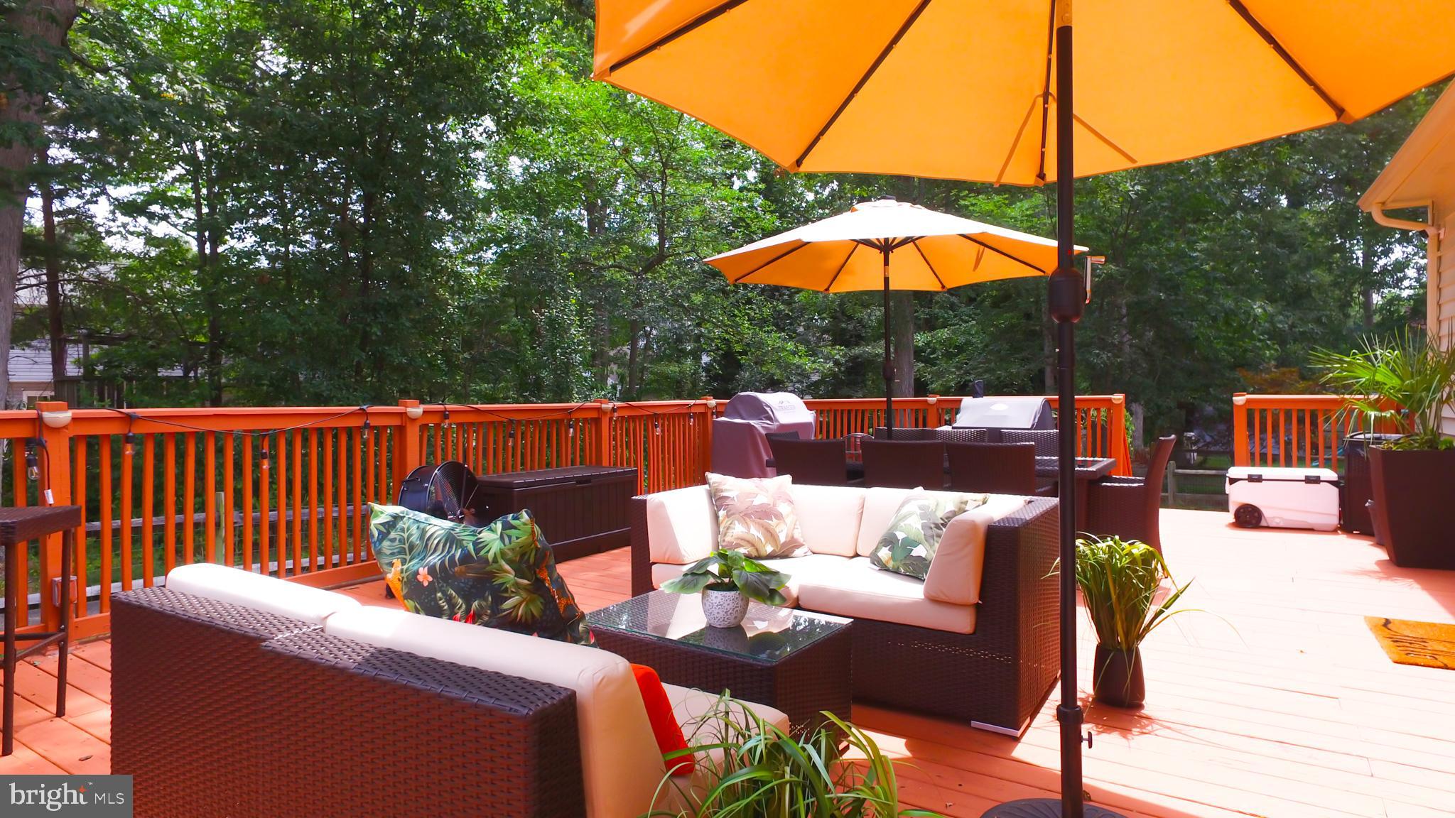 DORCHESTER NEIGHBORHOOD - Residential