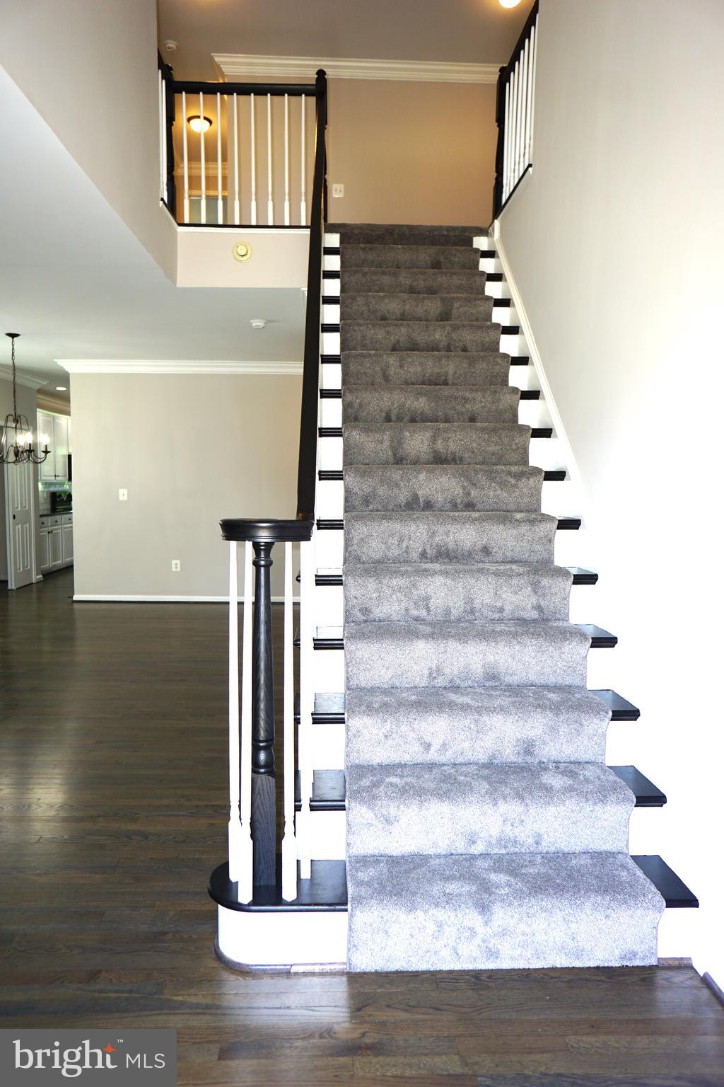 ENGLAND RUN NORTH - Residential