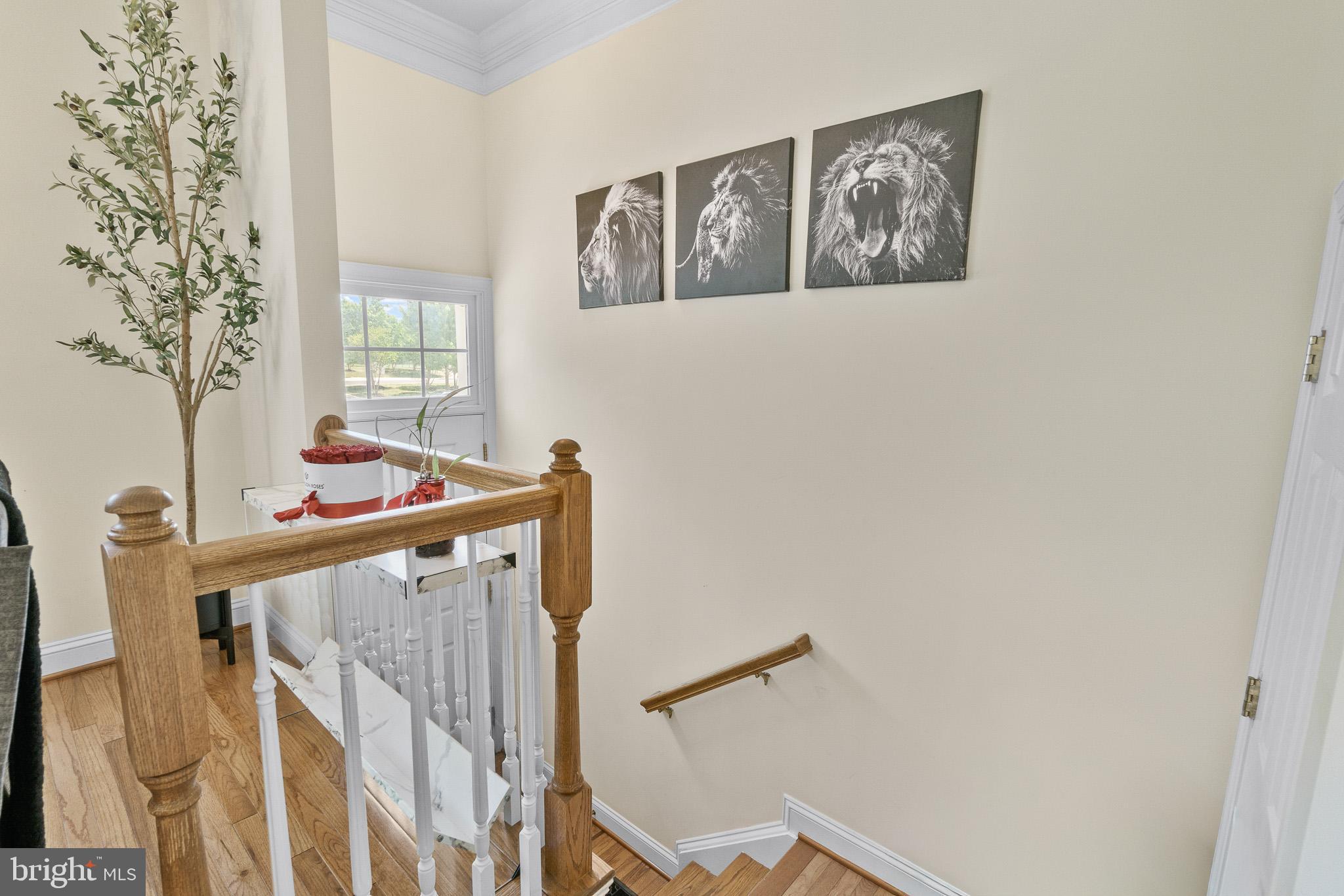 GREENCASTLE TOWNS - Residential