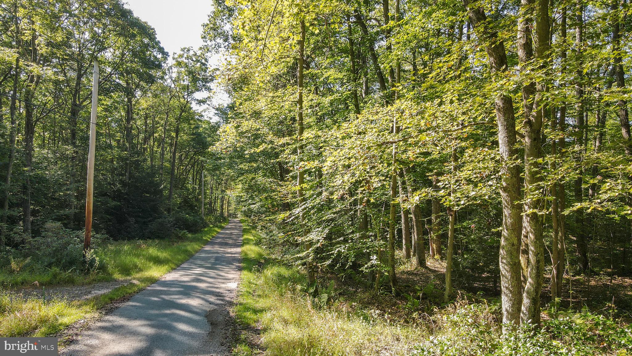 Lot 40 DOGWOOD DRIVE