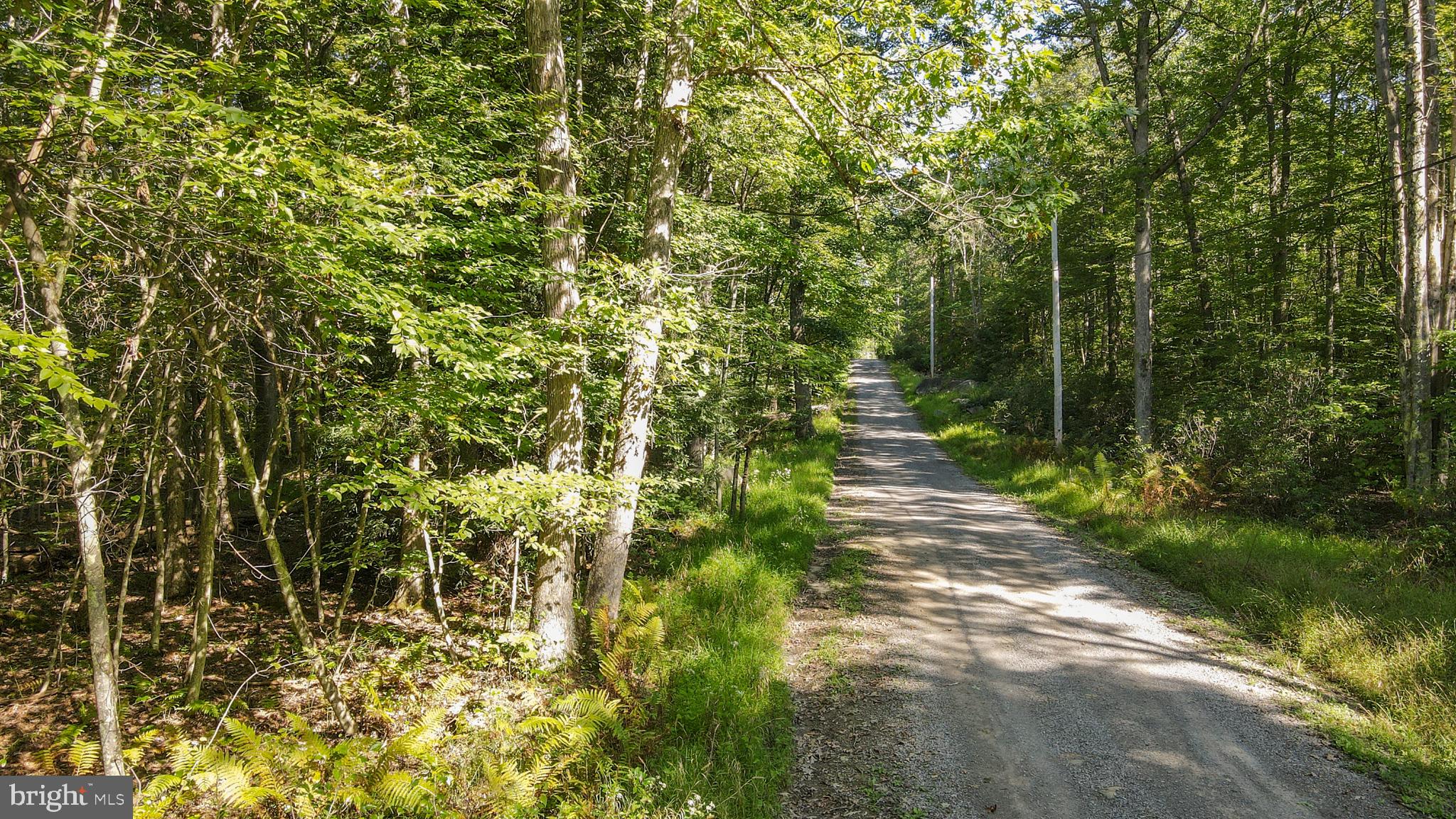 Lot 40 DOGWOOD DRIVE