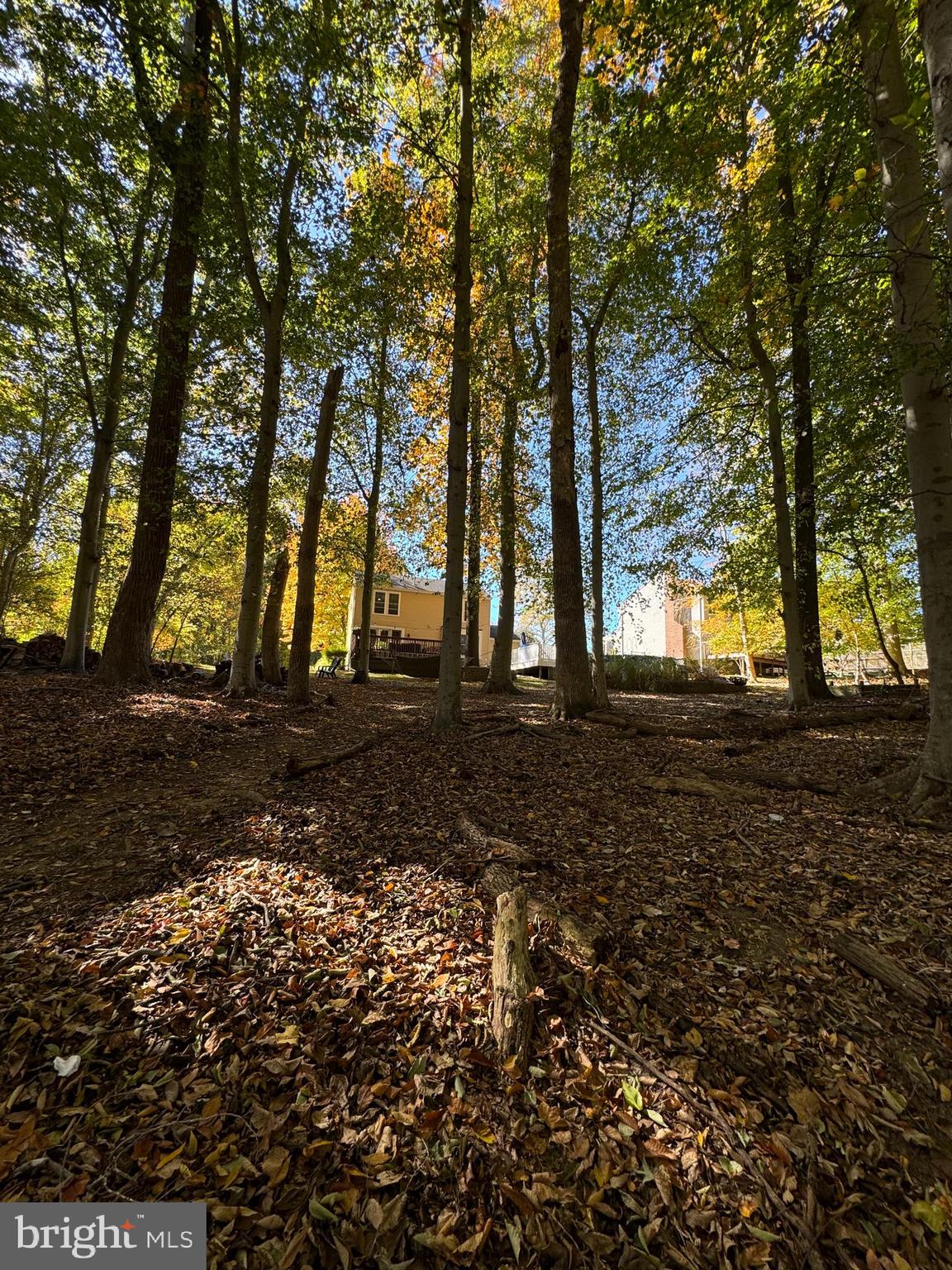 BROADVIEW - Residential