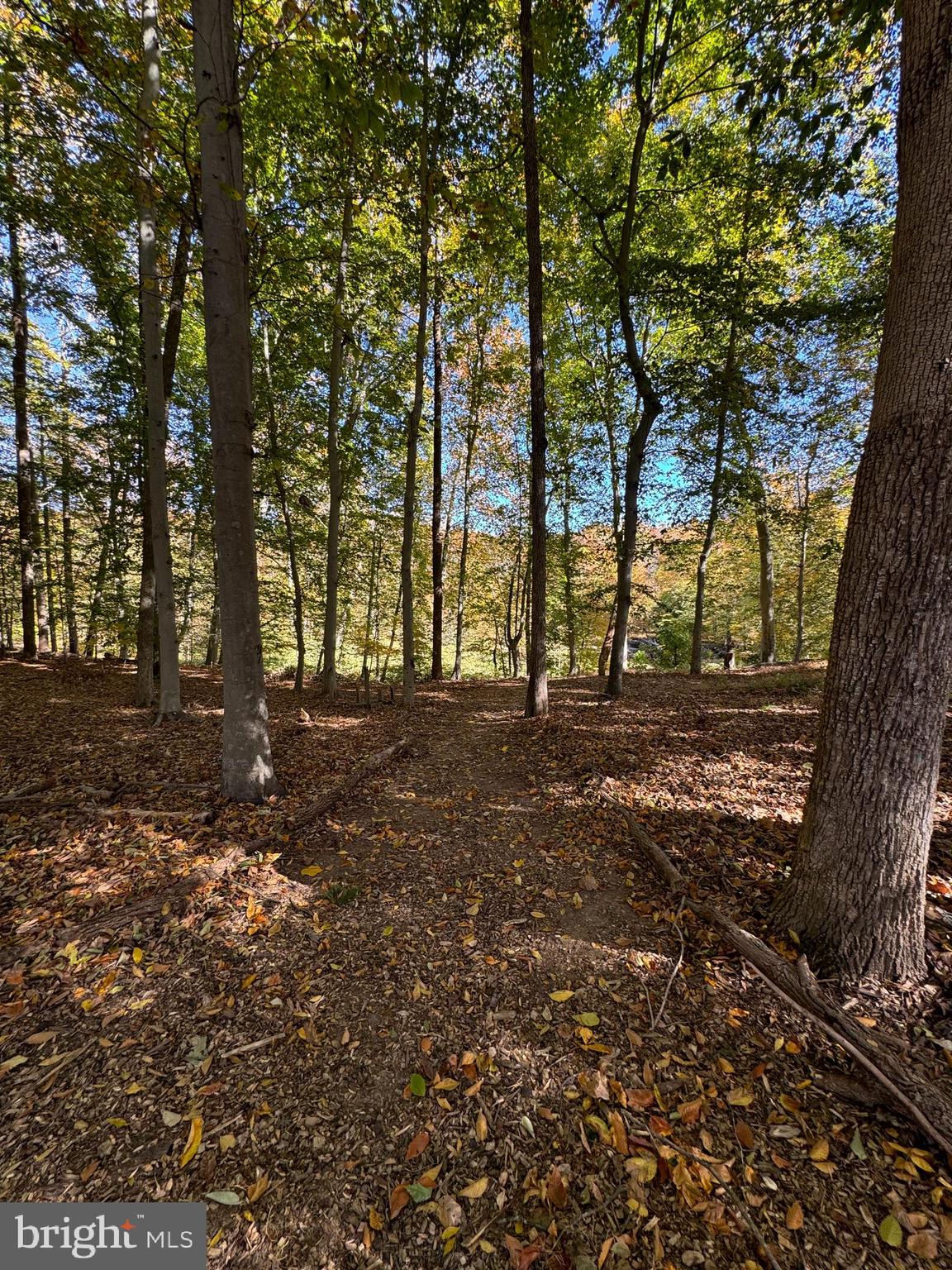 BROADVIEW - Residential