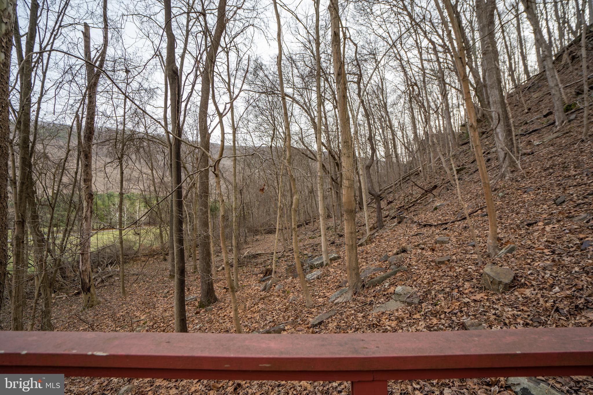 CACAPON RIVER MEADOWS - Residential