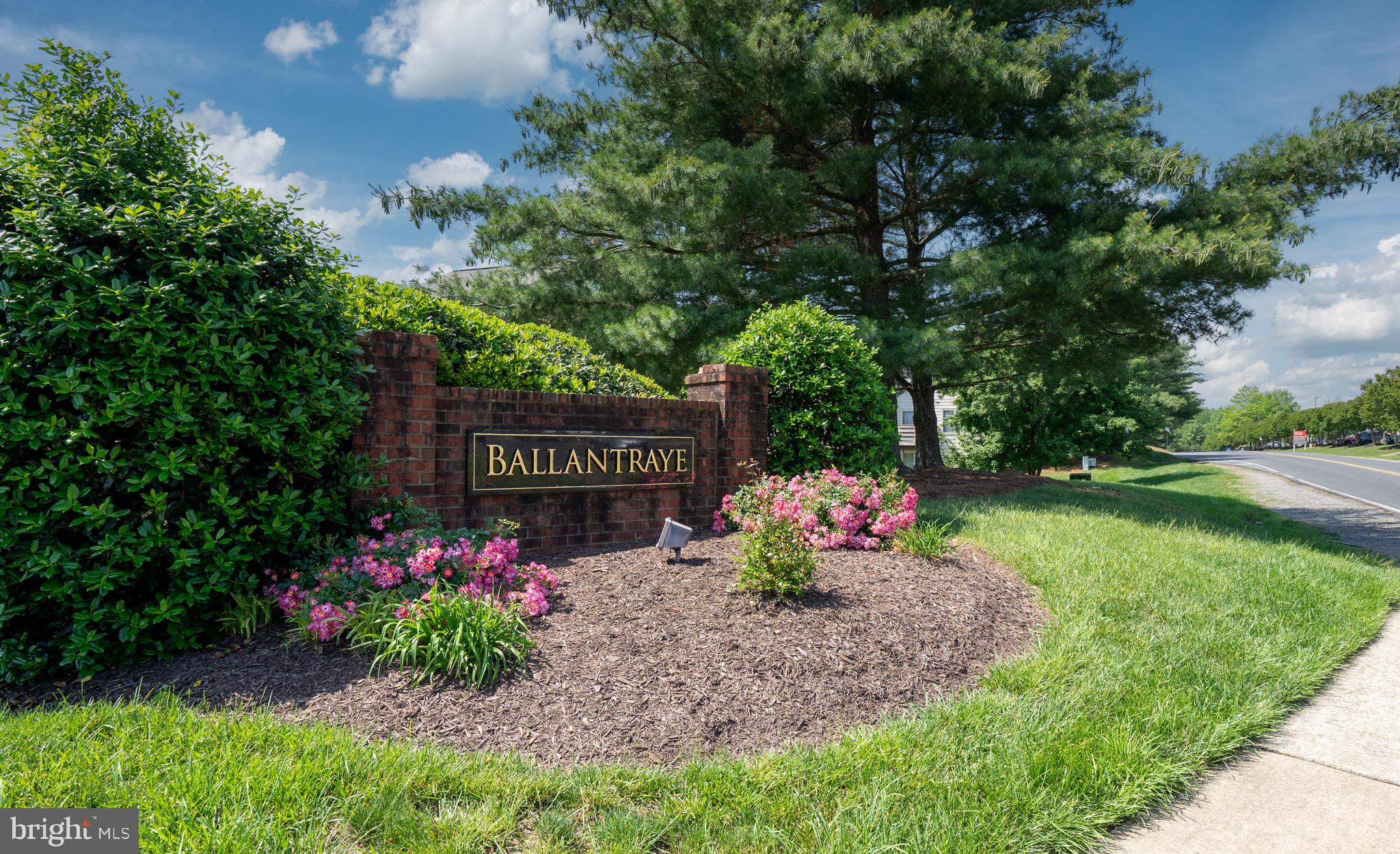 BALLANTRAYE - Residential