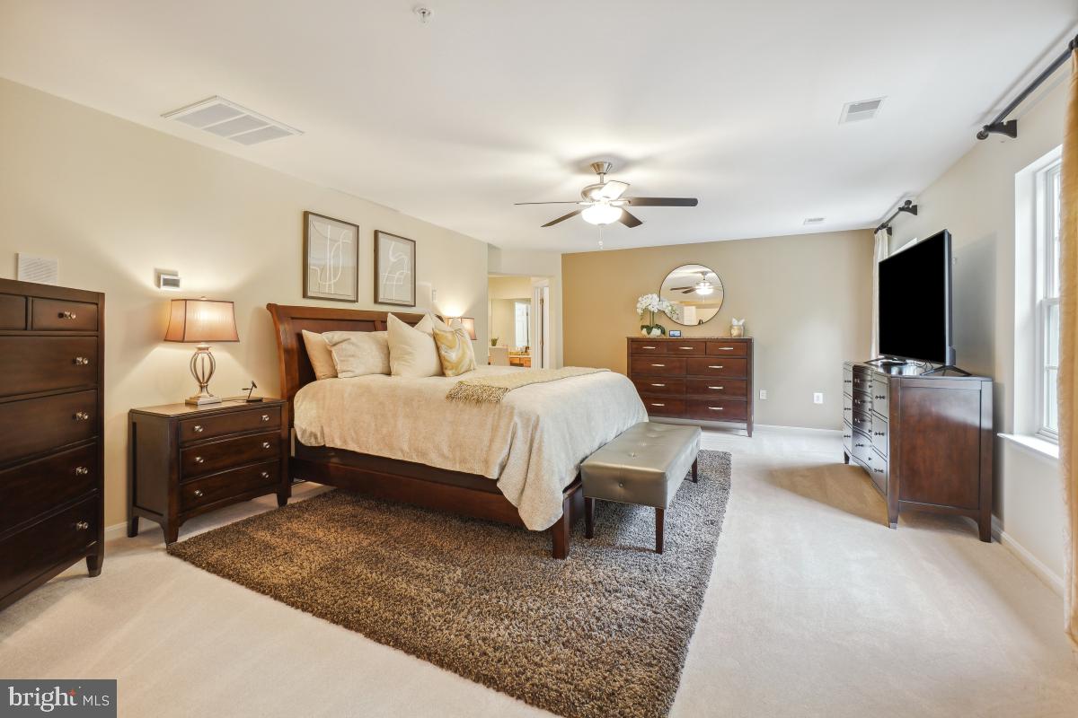 AVALON - Residential