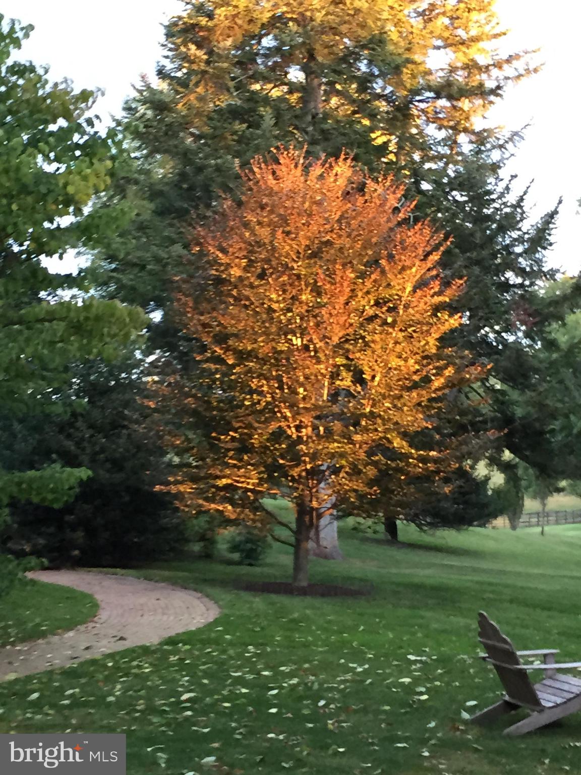 LINCOLN - Residential