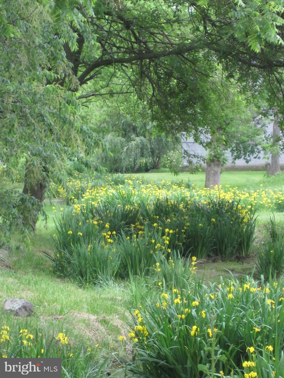 LINCOLN - Residential