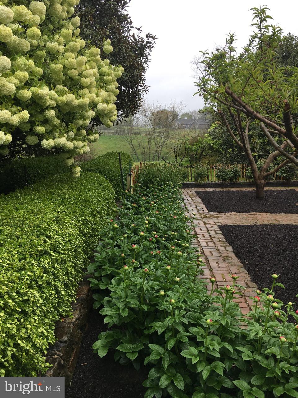 LINCOLN - Residential