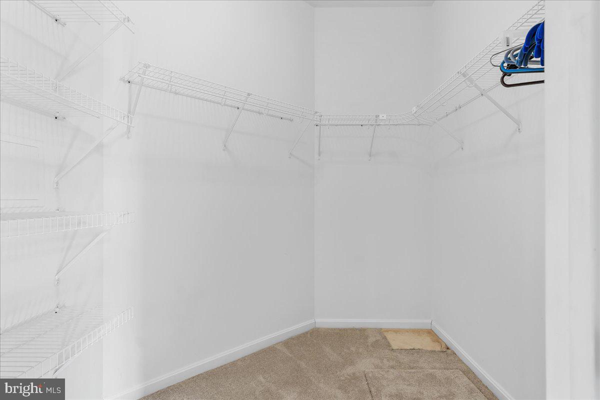 GREENWICH PARK - Residential