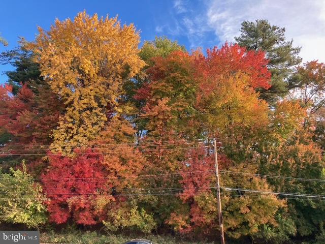 FOX CHASE - Residential