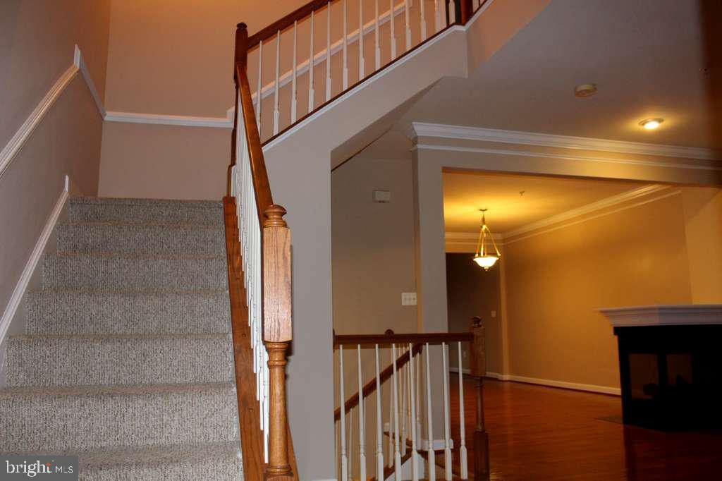 1503 REGENT MANOR COURT