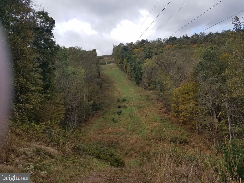 CACAPON RIVER RAPIDS - Residential