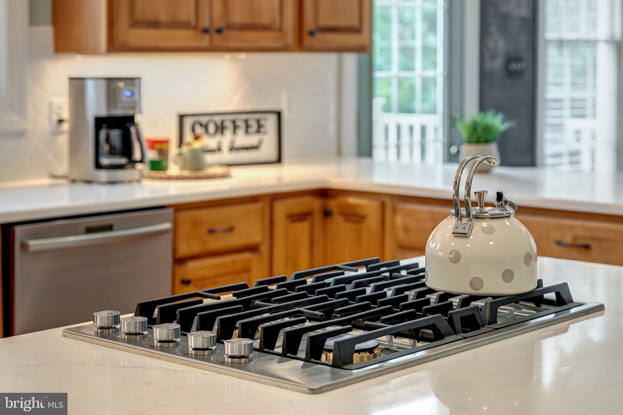 ASHBURN VILLAGE - Residential