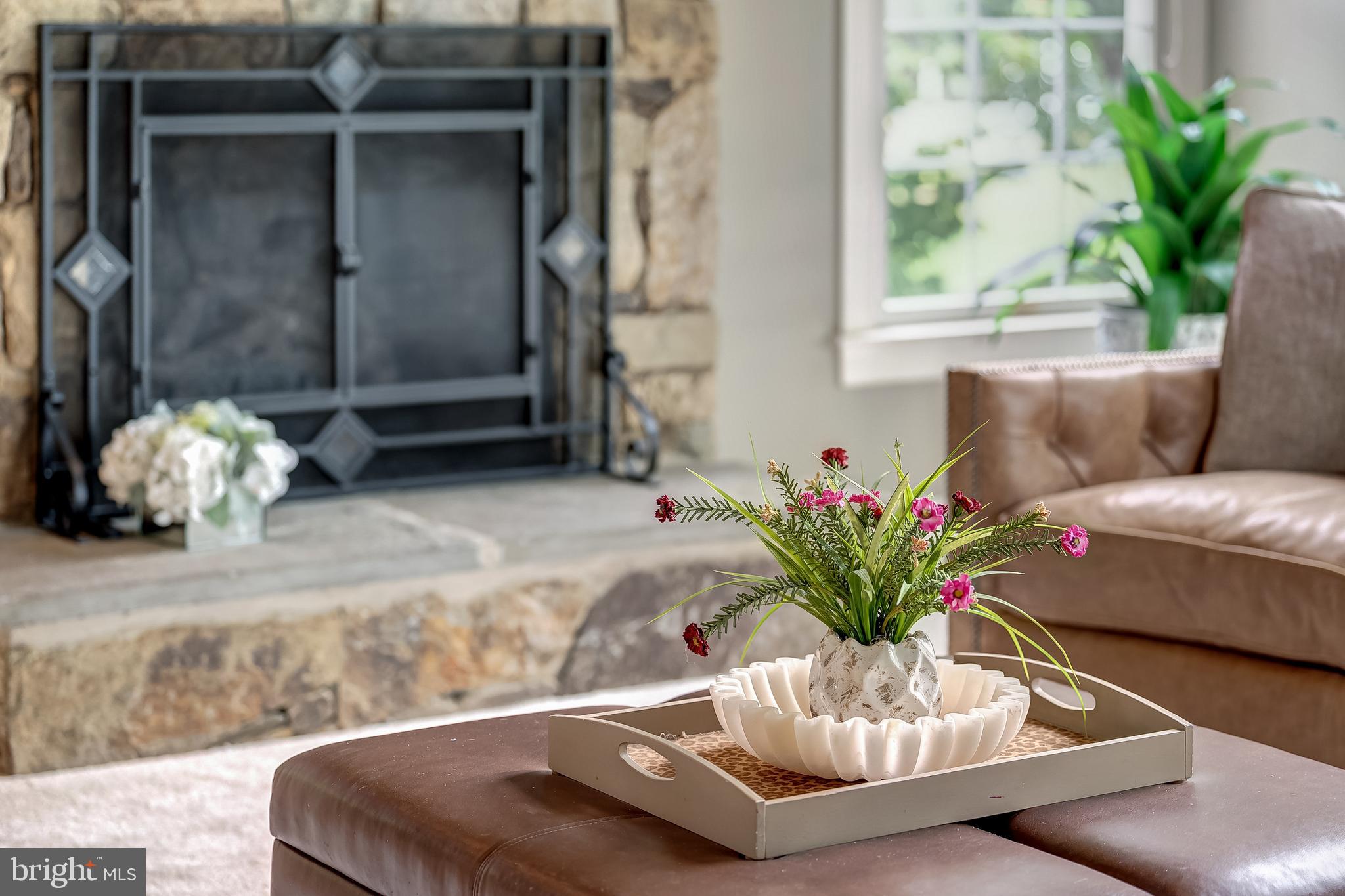 ASHBURN VILLAGE - Residential