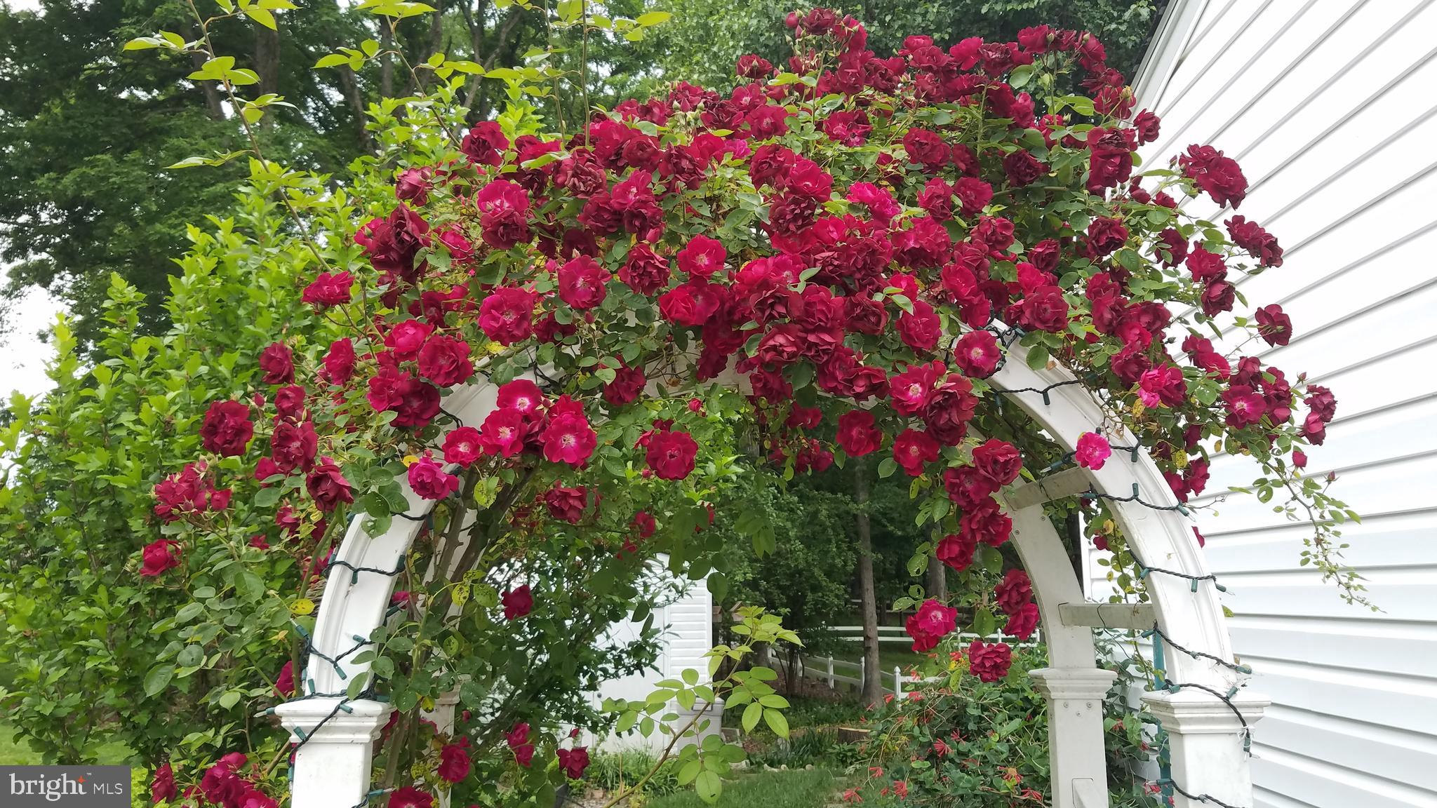 WOODBRIDGE VALLEY - Residential