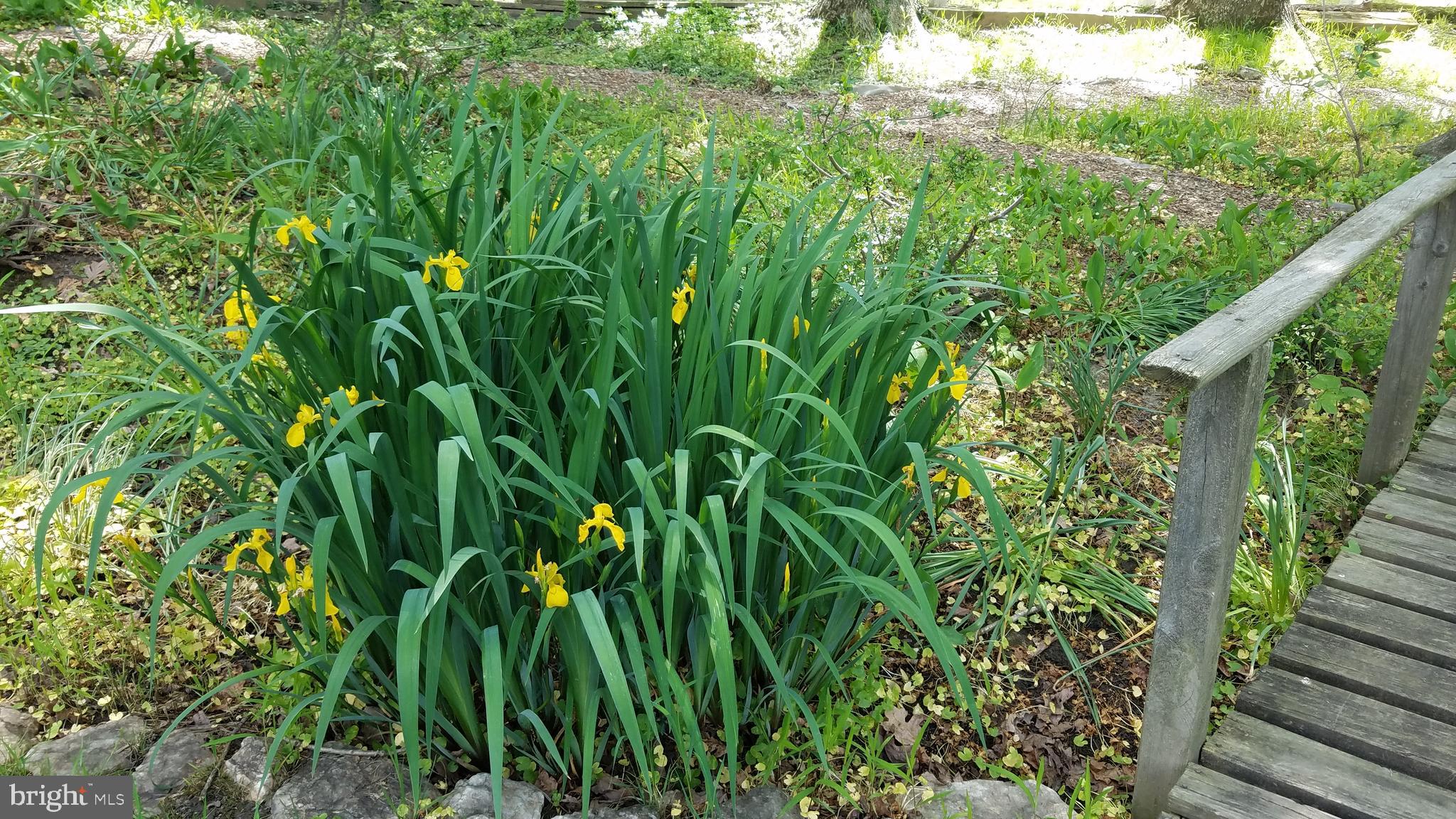 WOODBRIDGE VALLEY - Residential