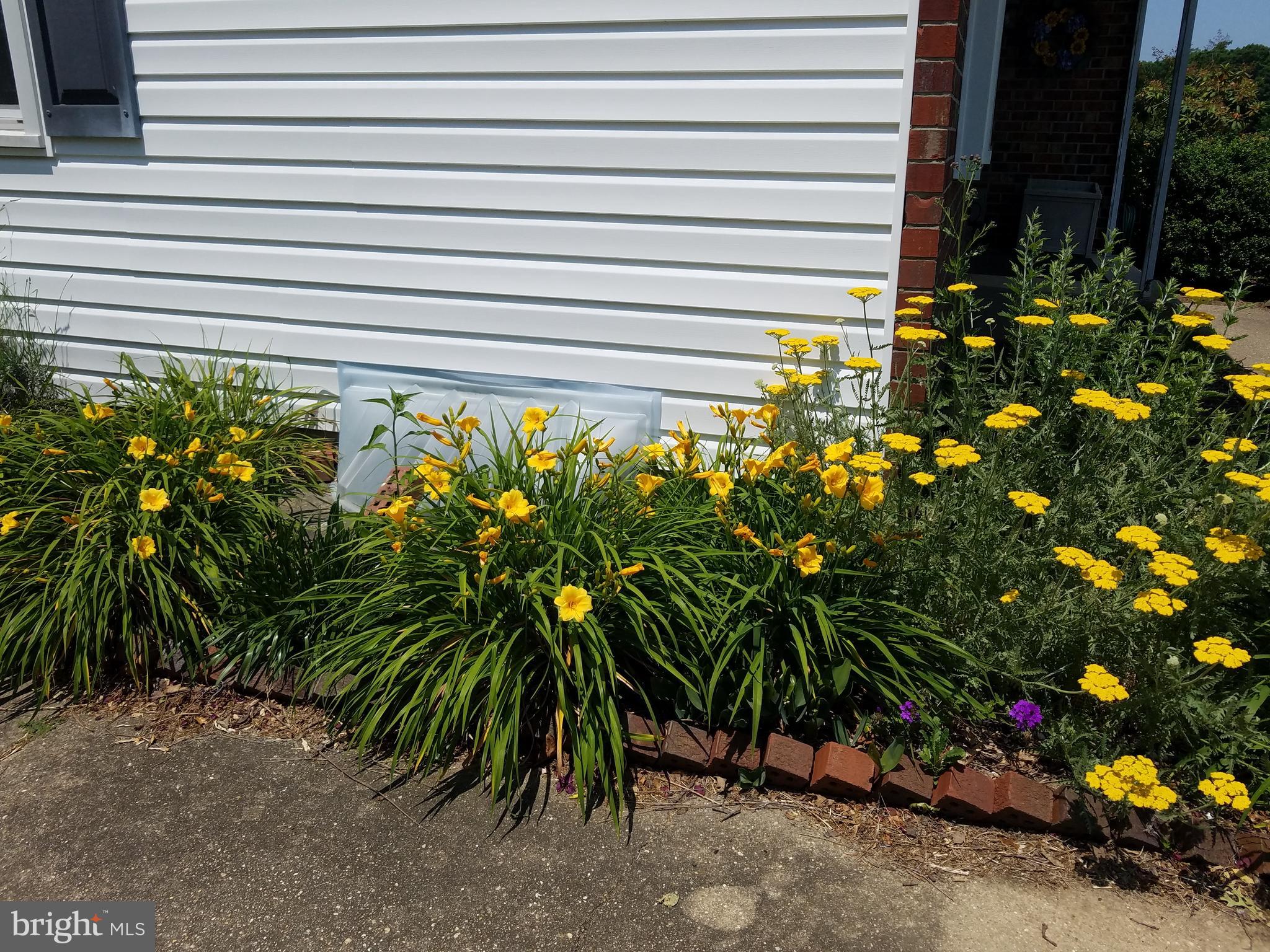 WOODBRIDGE VALLEY - Residential