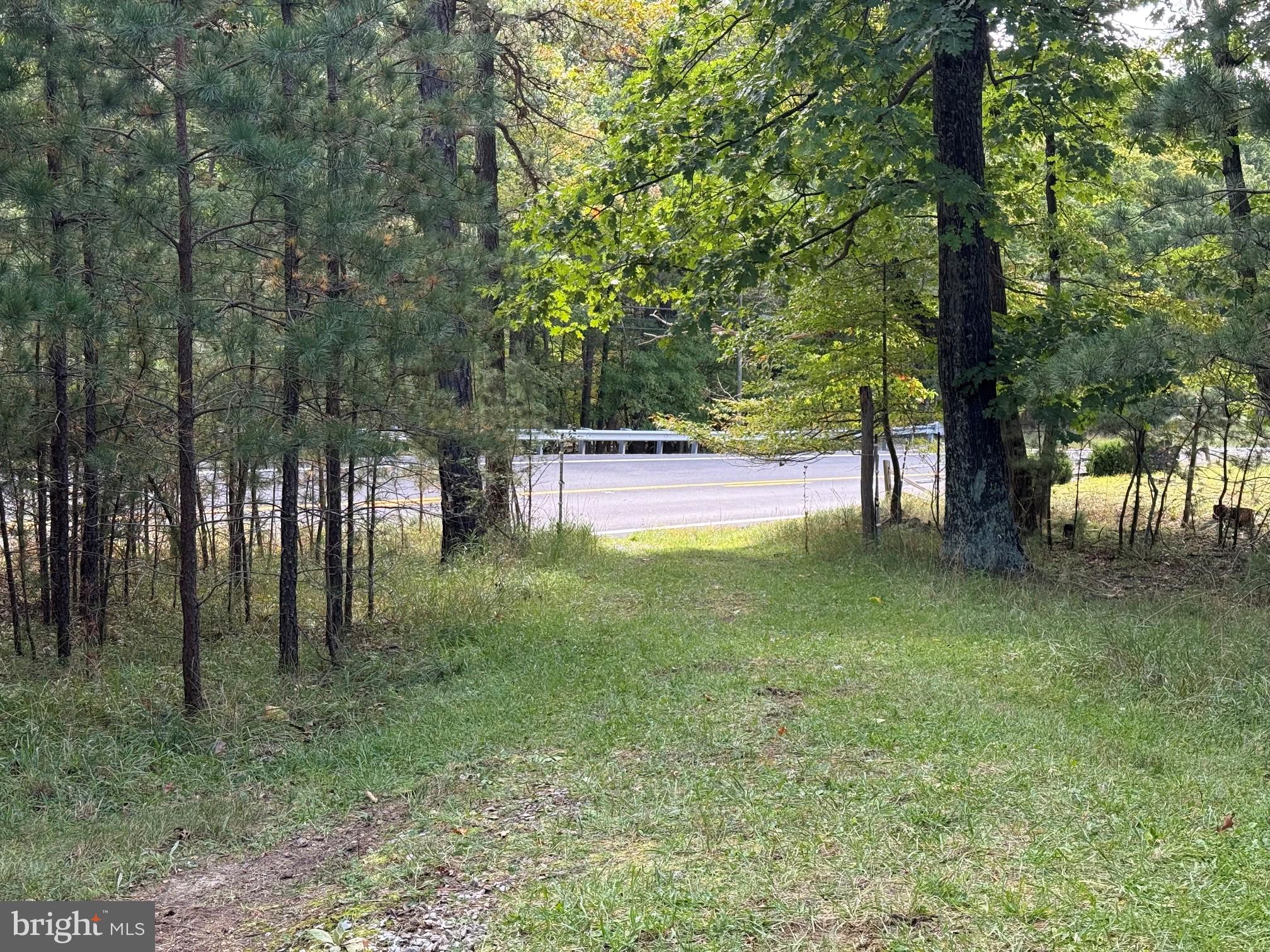 MOUNTAINEER DRIVE