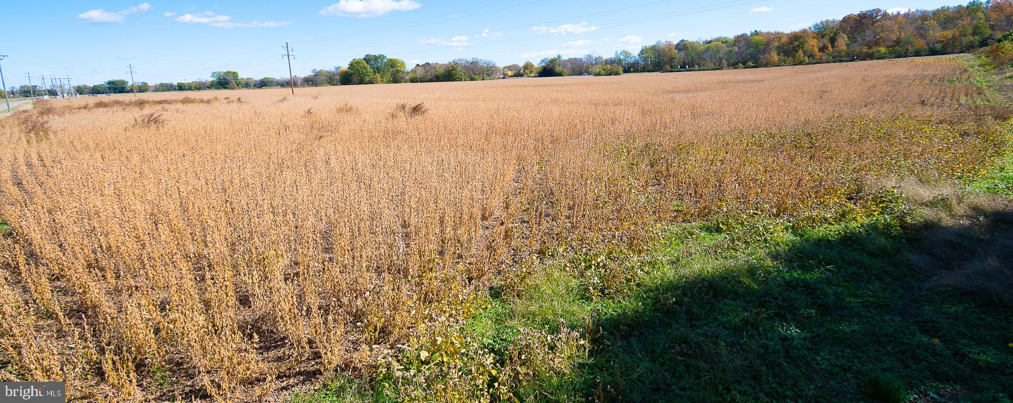 25513 TIDEWATER TRAIL