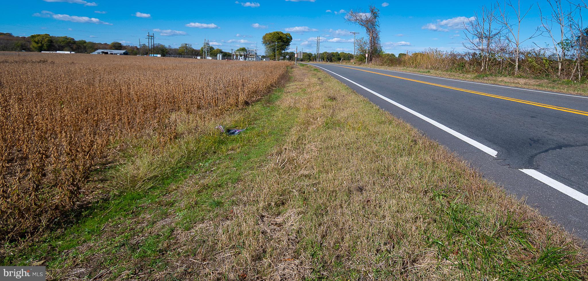 25513 TIDEWATER TRAIL