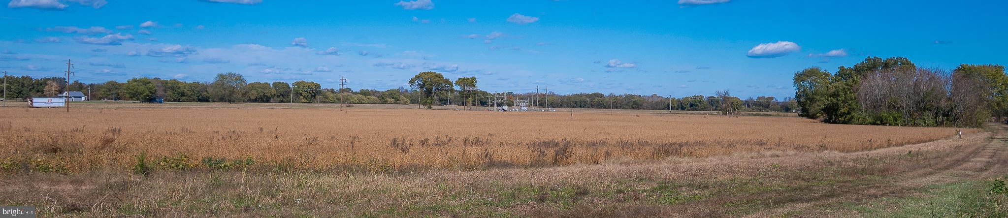 25513 TIDEWATER TRAIL