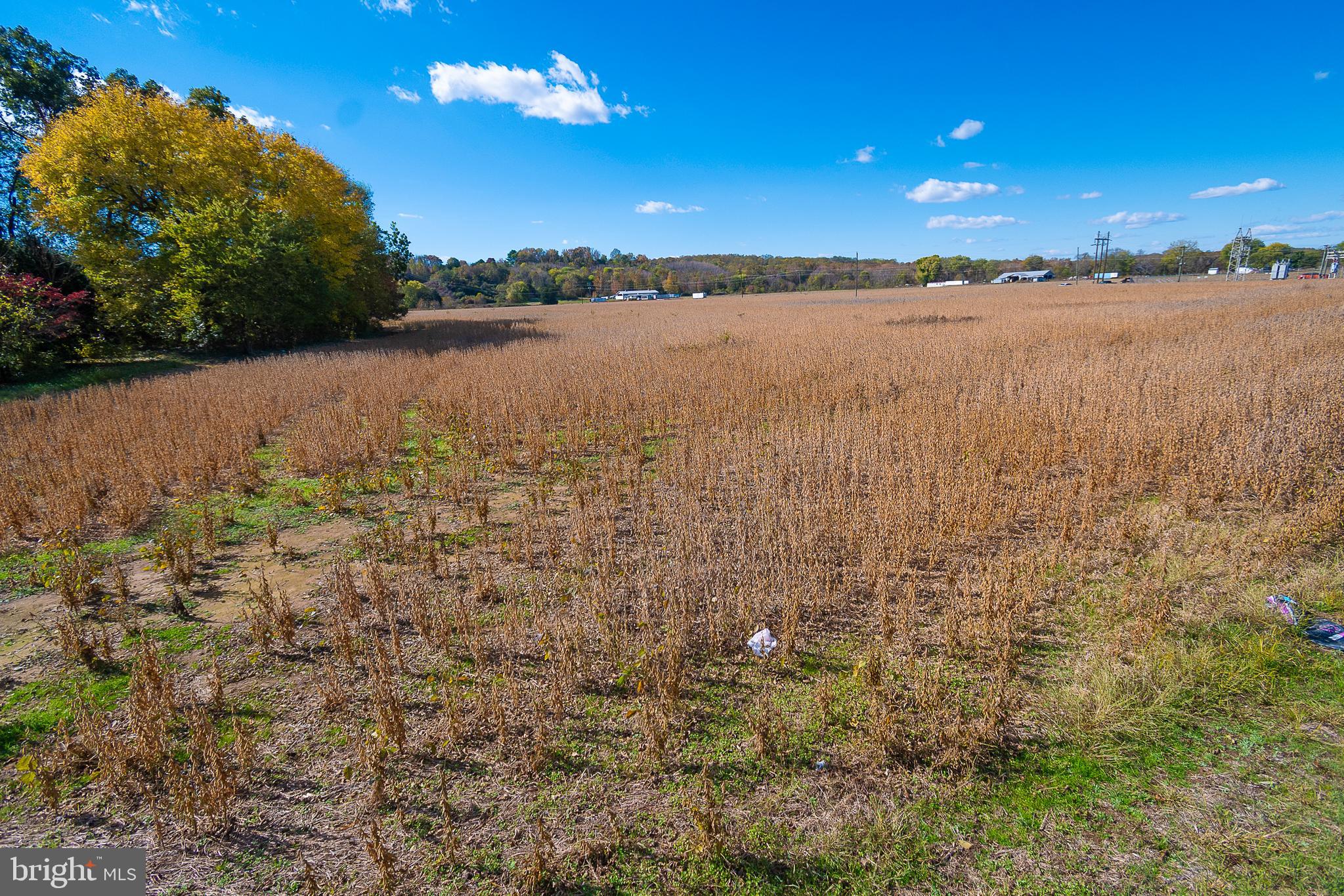 25513 TIDEWATER TRAIL